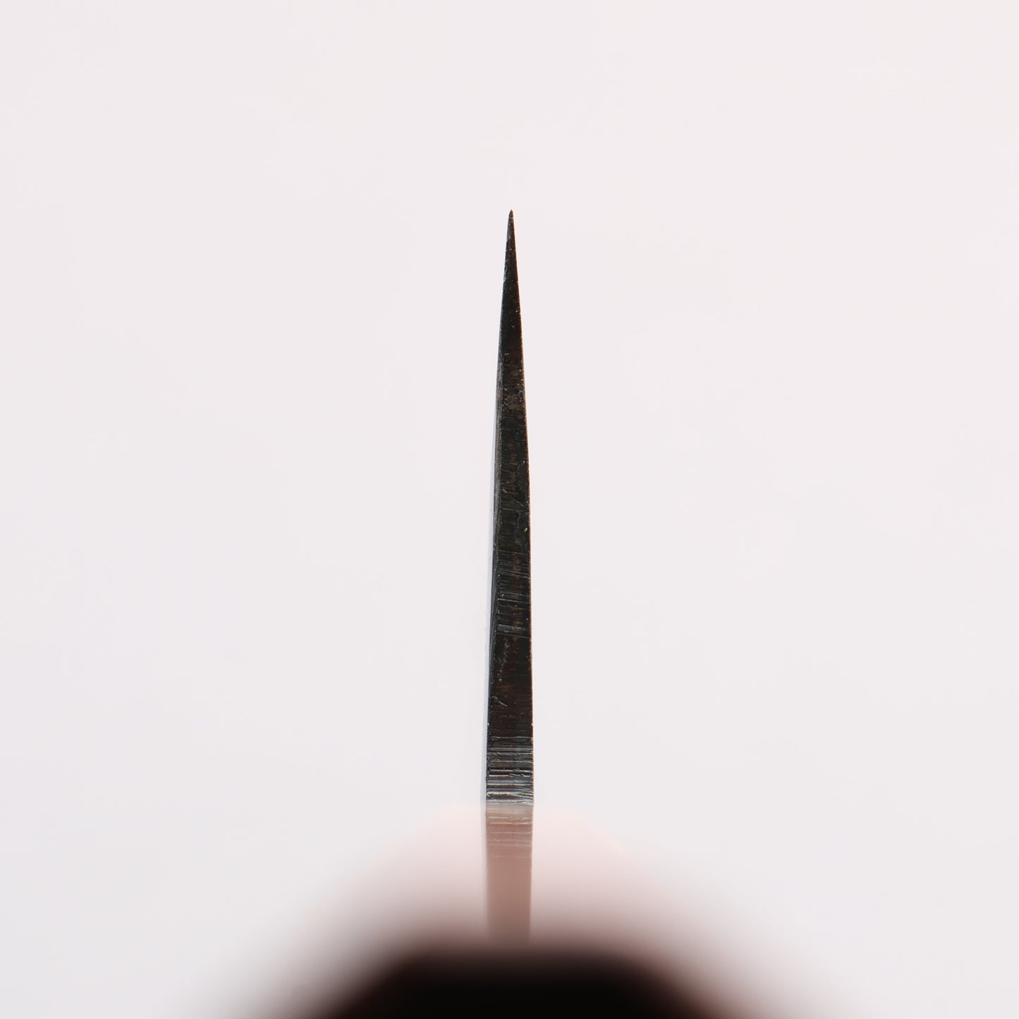 清助 青一鋼 黒仕上げ 切付牛刀包丁 240mm 紫檀 (口輪：樫)柄 - 清助刃物
