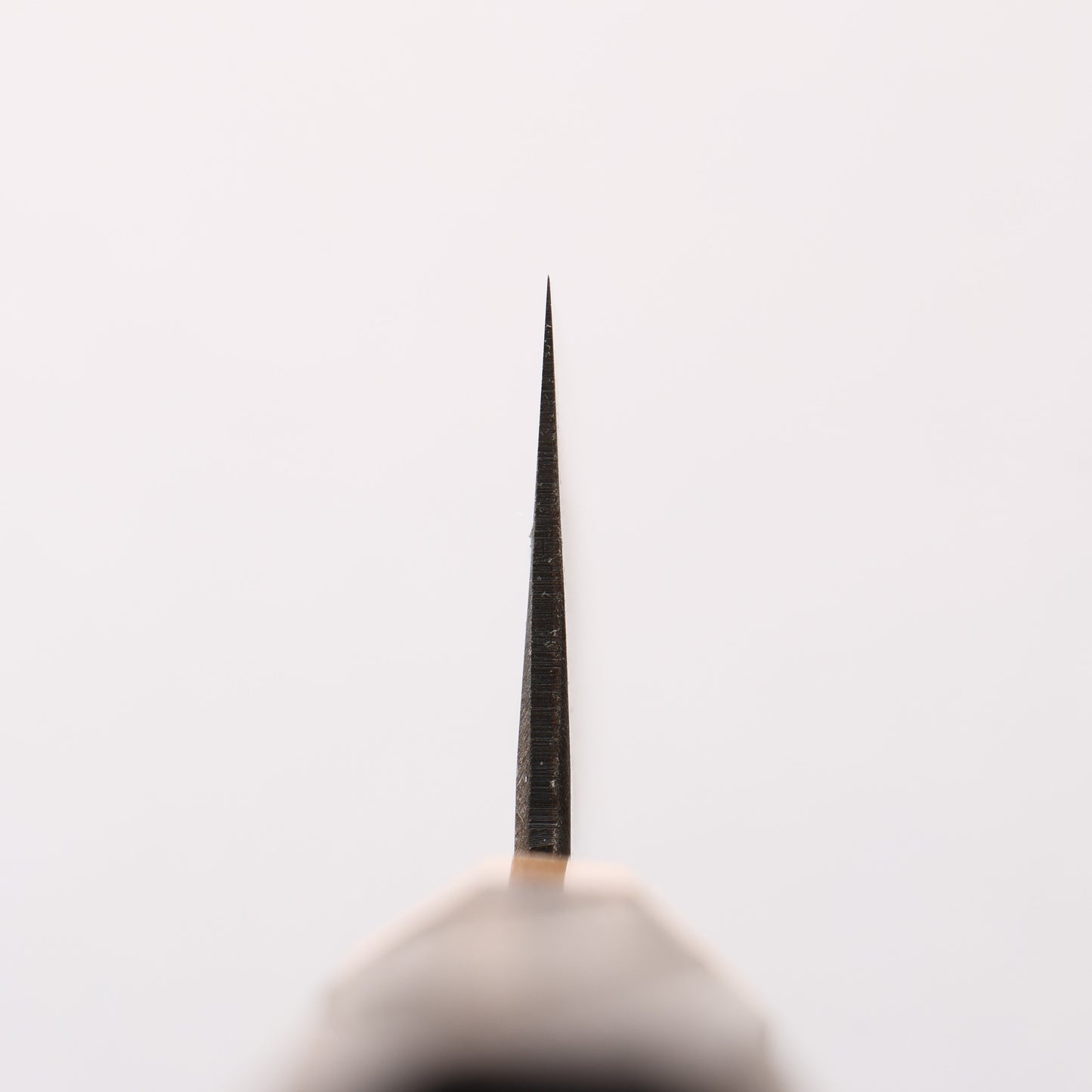 清助 青ニ鋼 黒仕上げ 切付牛刀包丁 240mm 焼栗 （口輪：サクラ）柄 - 清助刃物