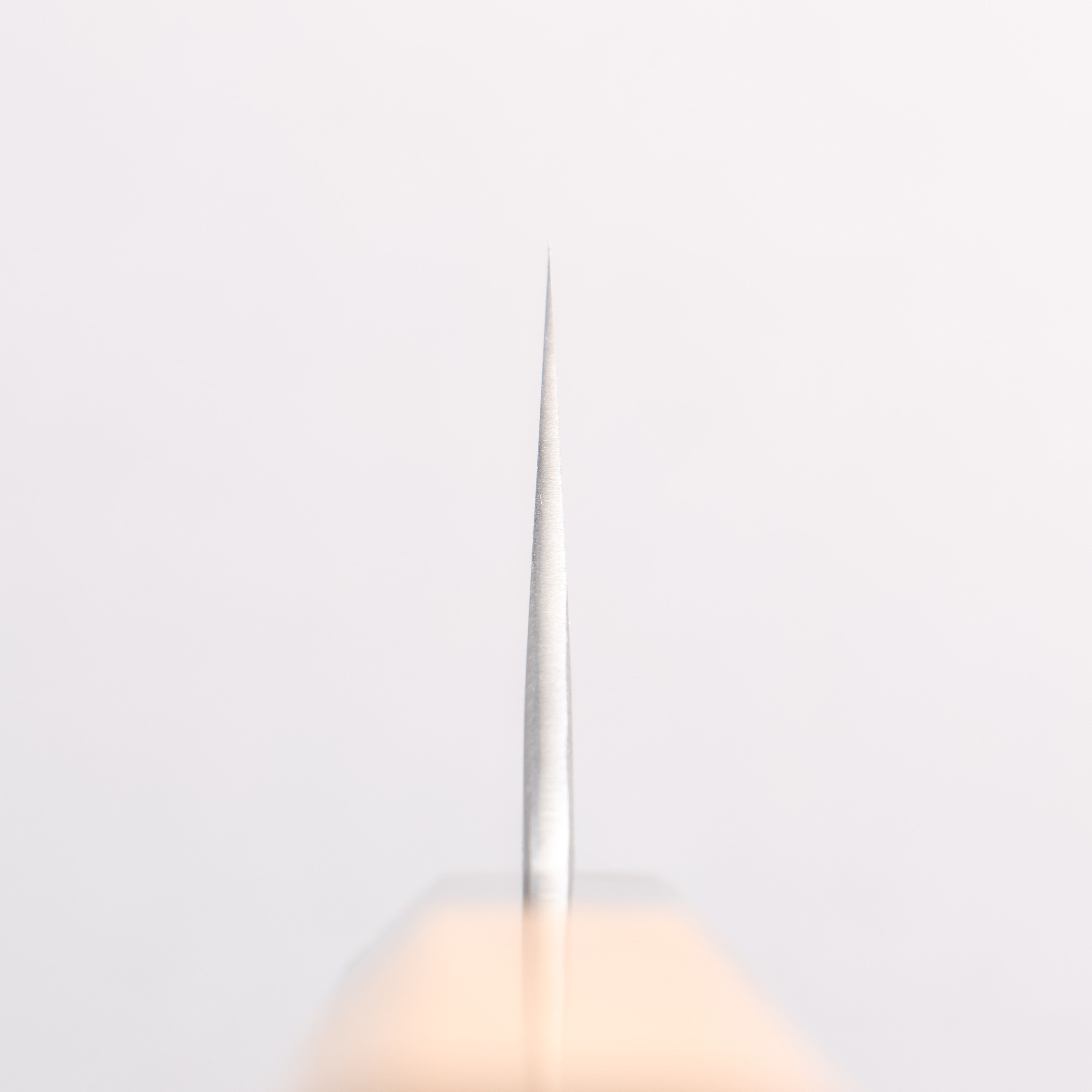 堺 孝行 焔 飛燕 青ニ鋼 牛刀包丁 210mm イチイ柄 鞘付き - 清助刃物