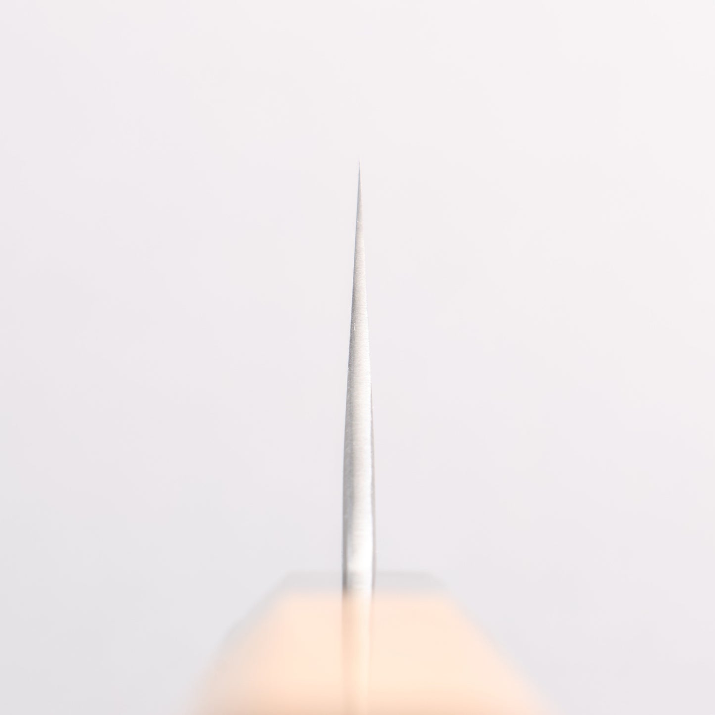 堺 孝行 焔 飛燕 青ニ鋼 牛刀包丁 210mm イチイ柄 鞘付き - 清助刃物