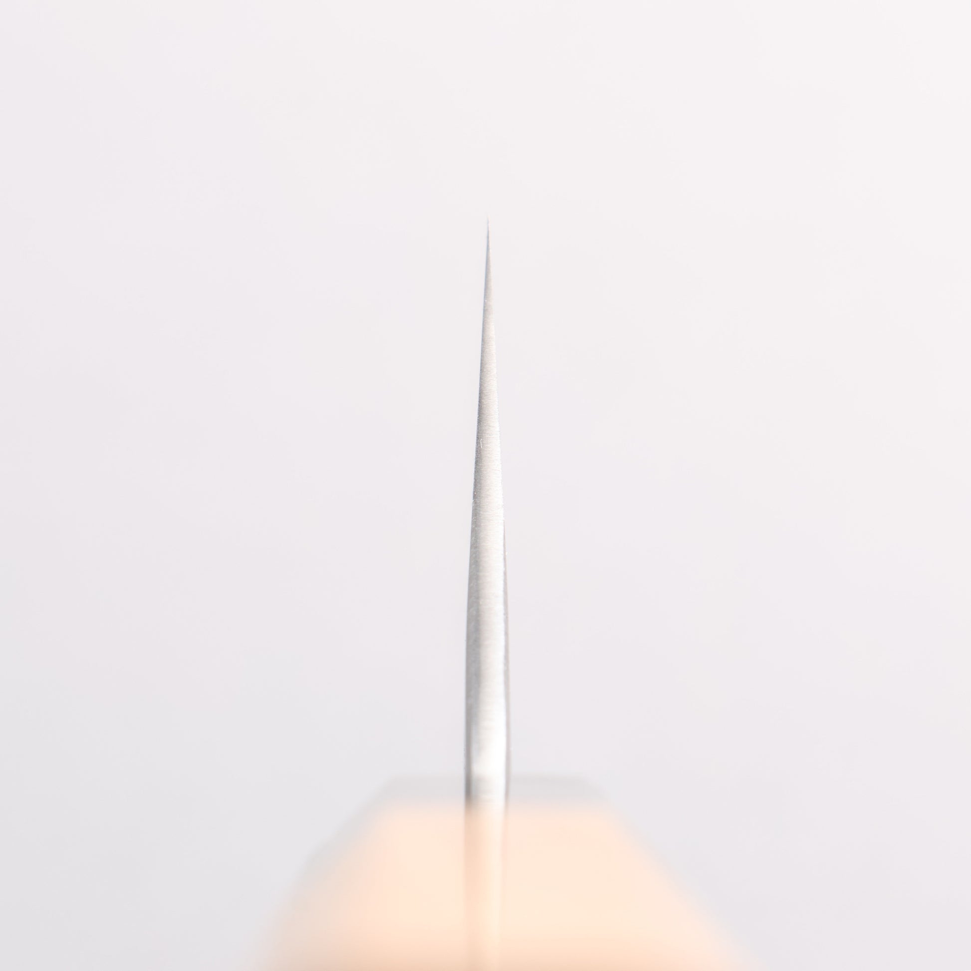 堺 孝行 焔 飛燕 青ニ鋼 牛刀包丁 210mm イチイ柄 鞘付き - 清助刃物