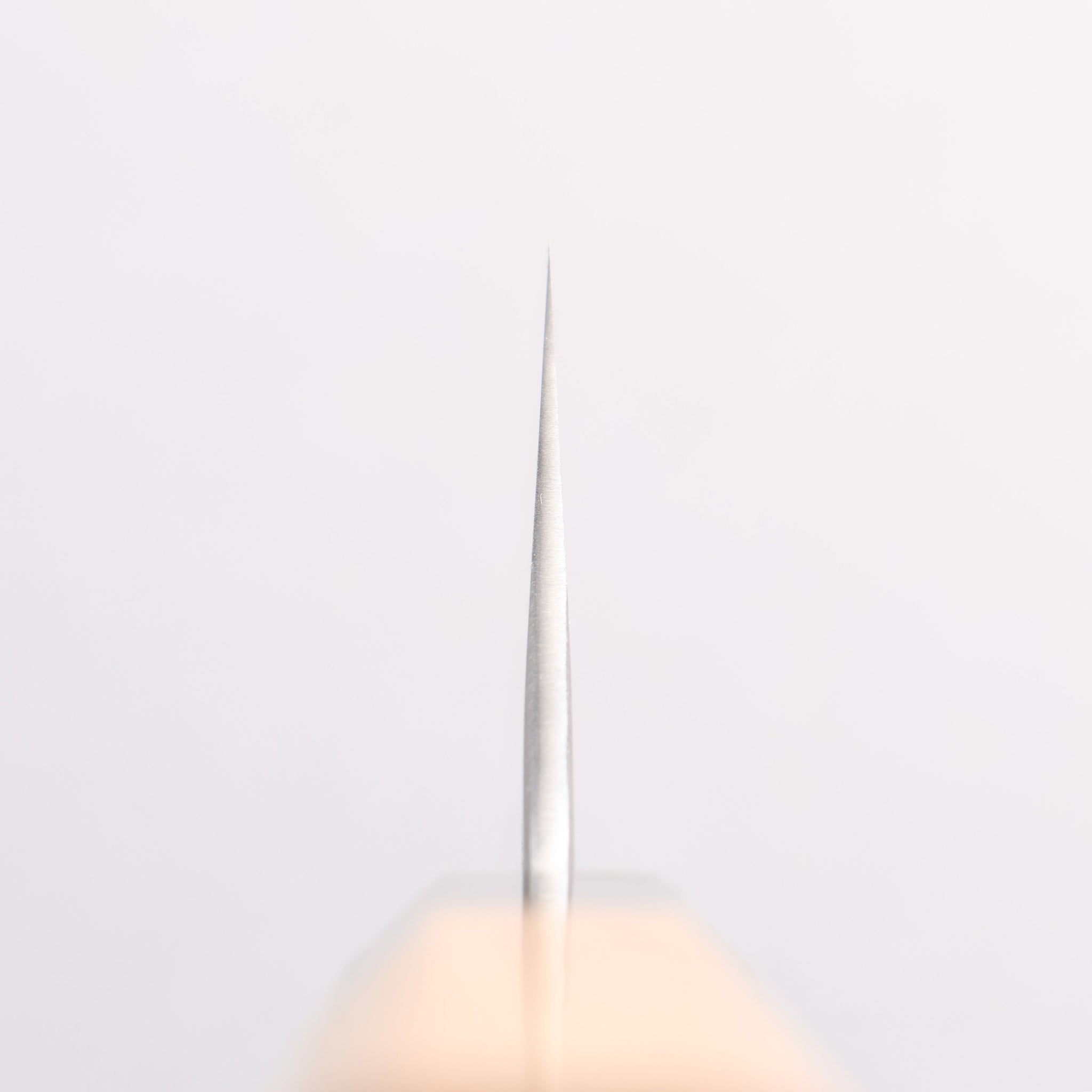 堺 孝行 焔 飛燕 青ニ鋼 牛刀包丁 210mm イチイ柄 鞘付き - 清助刃物