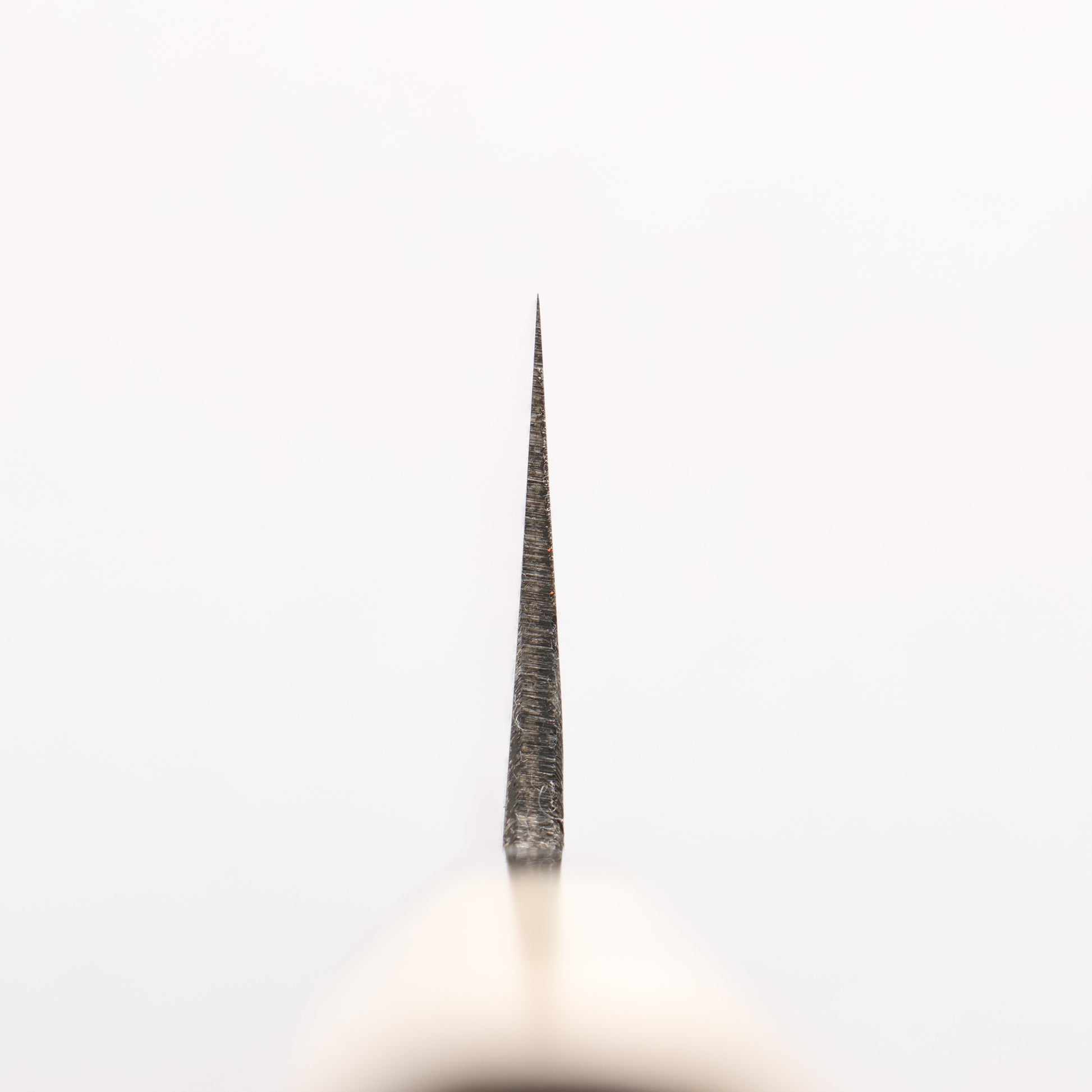 菊月 白ニ鋼 黒仕上げ 切付牛刀包丁 240mm 朴柄 - 清助刃物