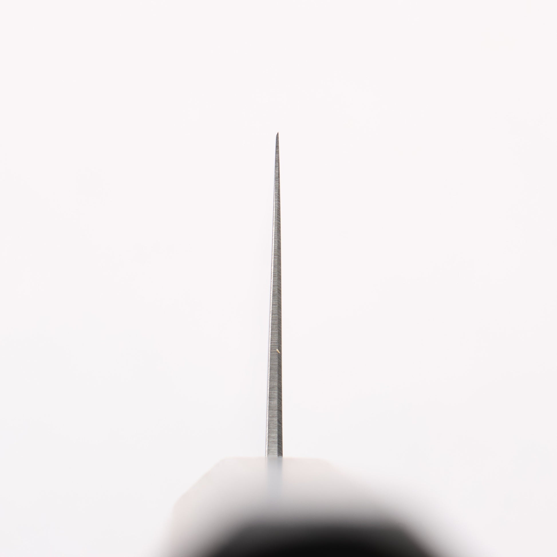 清助 SK-4鋼 牛刀包丁 240mm 樫焼 漆塗り柄 - 清助刃物
