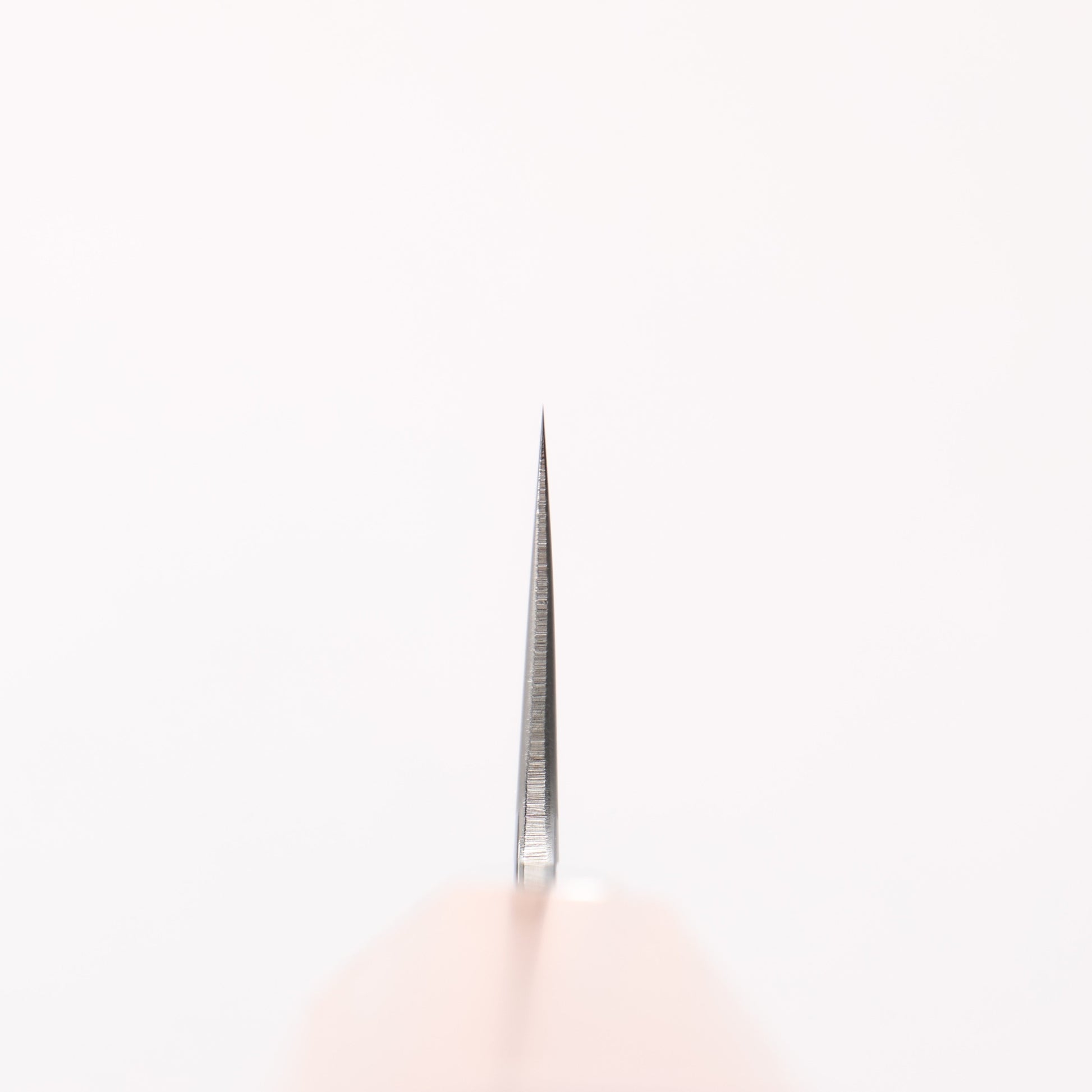 黒鳥 銀三鋼 磨き仕上げ 柳刃包丁 240mm ウォルナット柄 - 清助刃物