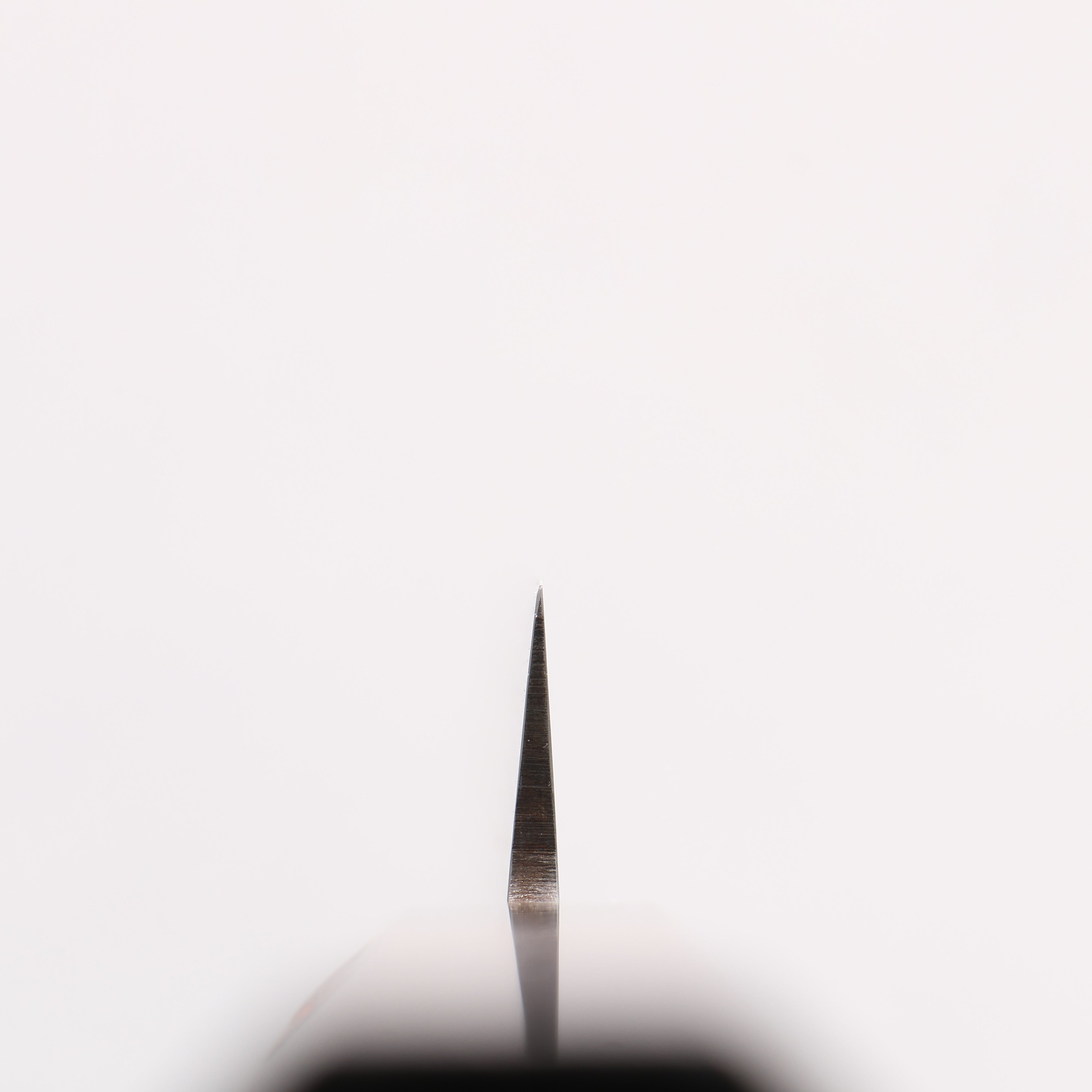 田中 誠貴 V金10号 パン切り包丁 240mm ウォルナット柄