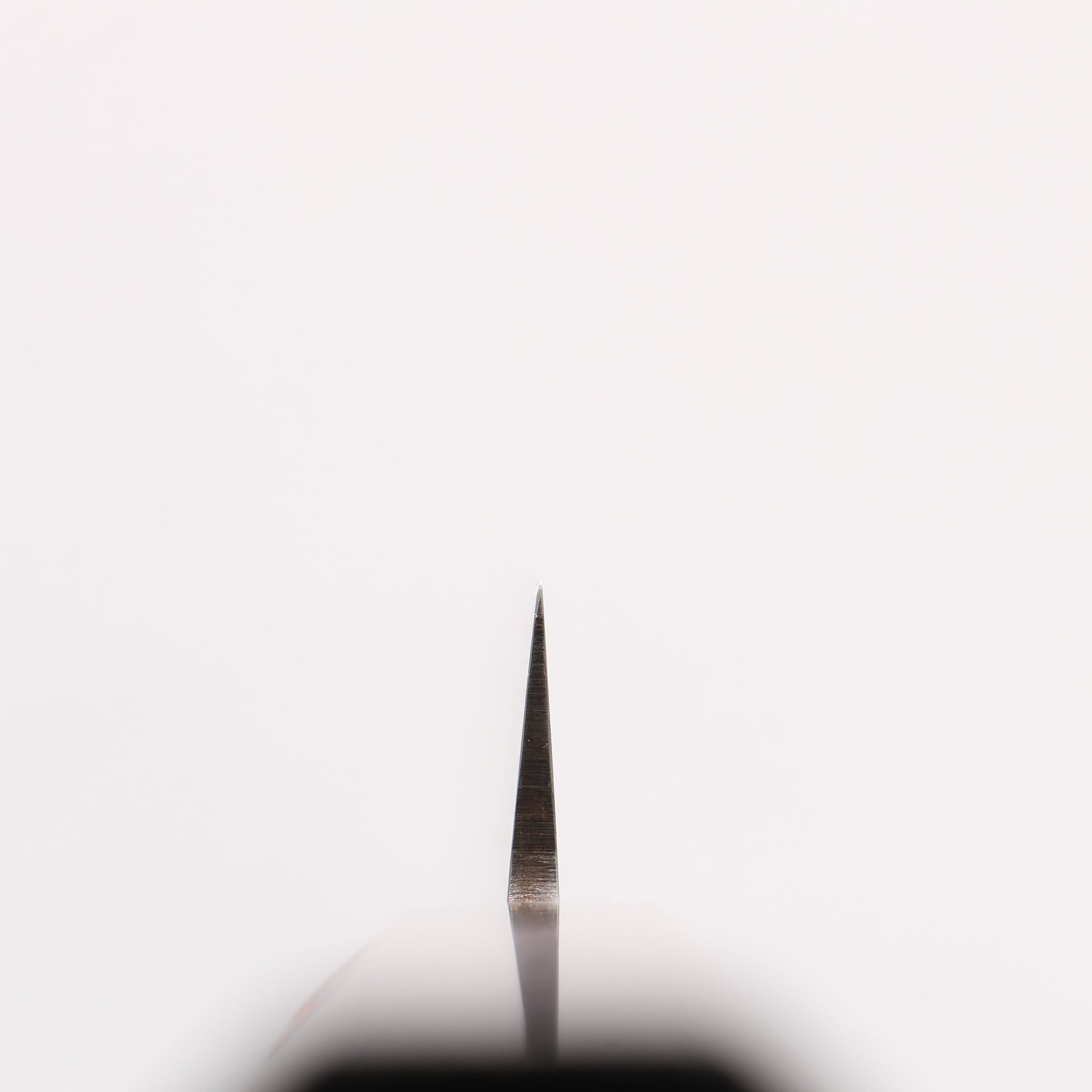 田中 誠貴 V金10号 パン切り包丁 240mm ウォルナット柄