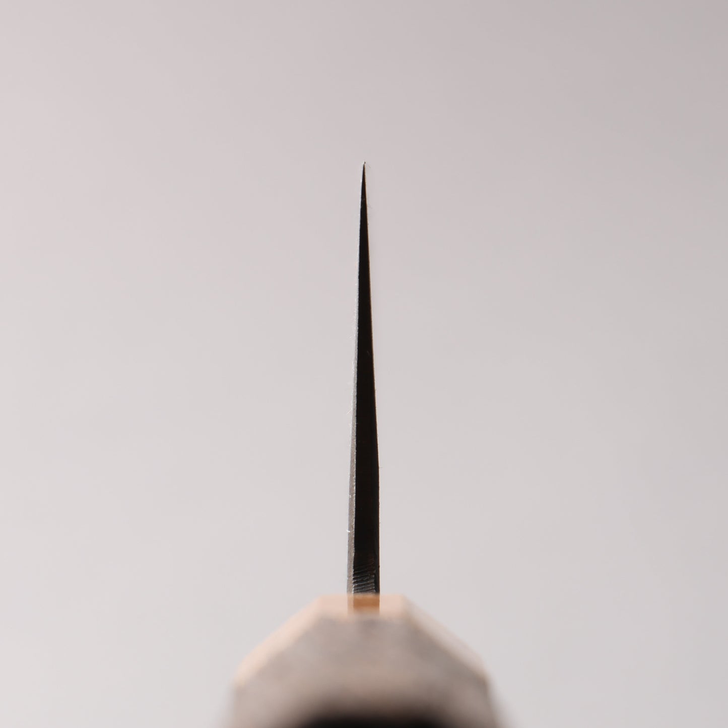 清助 青ニ鋼 黒仕上げ 菜切包丁 165mm 焼栗 （口輪：サクラ）柄 - 清助刃物