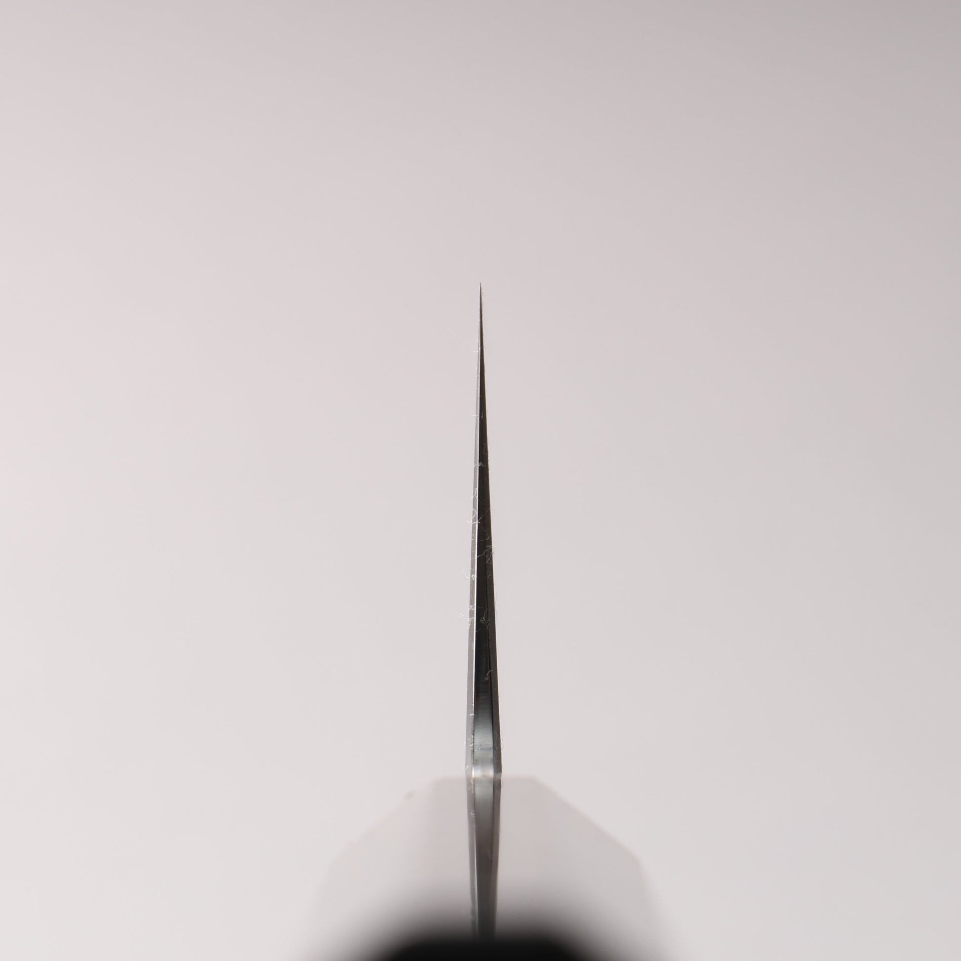 明神直人 SG2 霞研 牛刀包丁 240mm 縞黒檀（細口輪：黒スタビライズウッド）柄 - 清助刃物