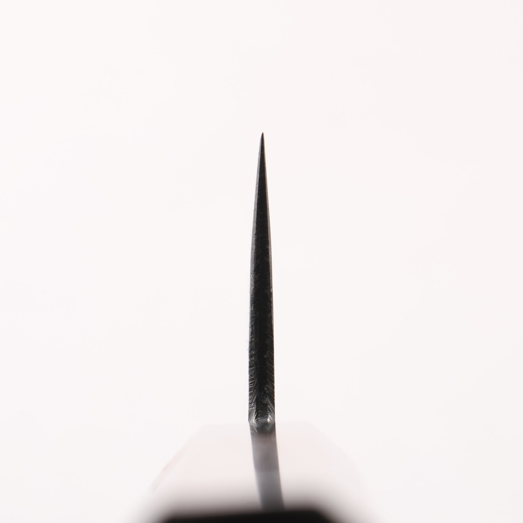 田中 誠貴 鉄火 青ニ鋼 黒打 剣型牛刀包丁 190mm ウォルナット柄 - 清助刃物