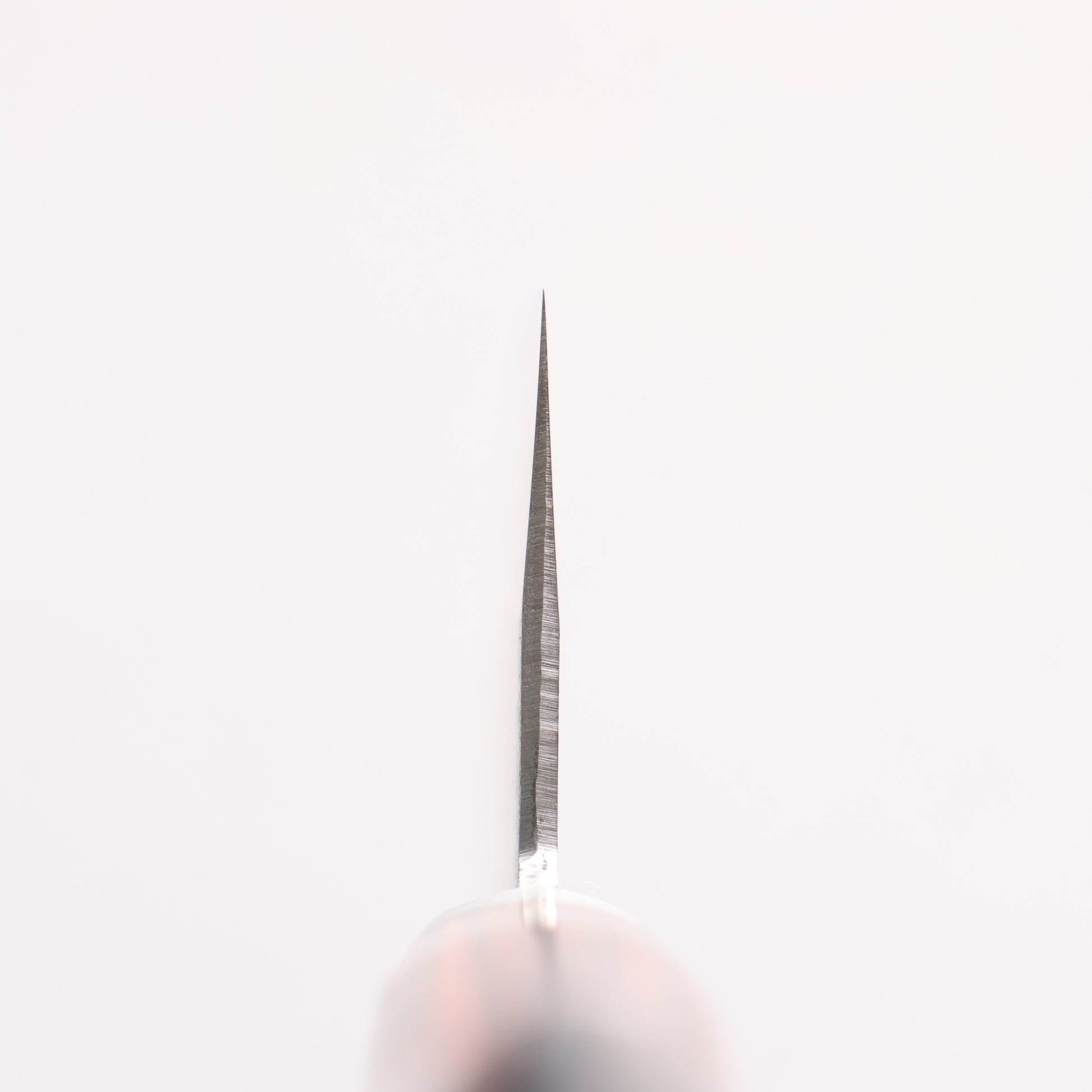 訓平 V金1号 梨地 牛刀包丁 180mm マホガニー柄 - 清助刃物