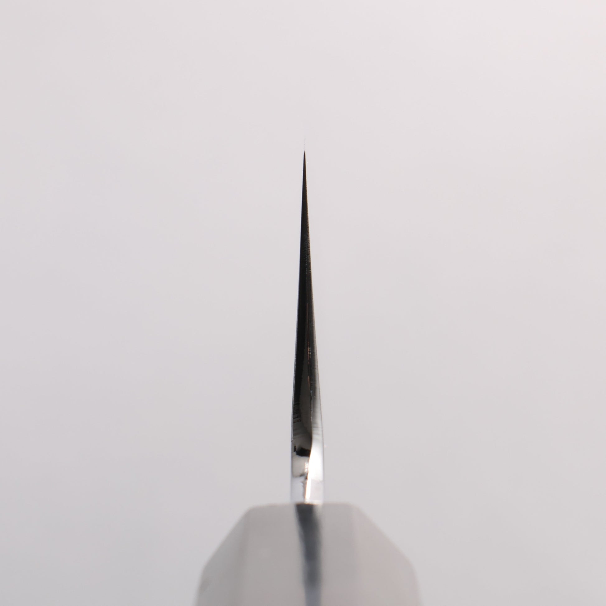 重陽 白鋼 鏡面仕上げ 切付牛刀包丁 210mm 黒檀　(口輪：黒水牛)柄
