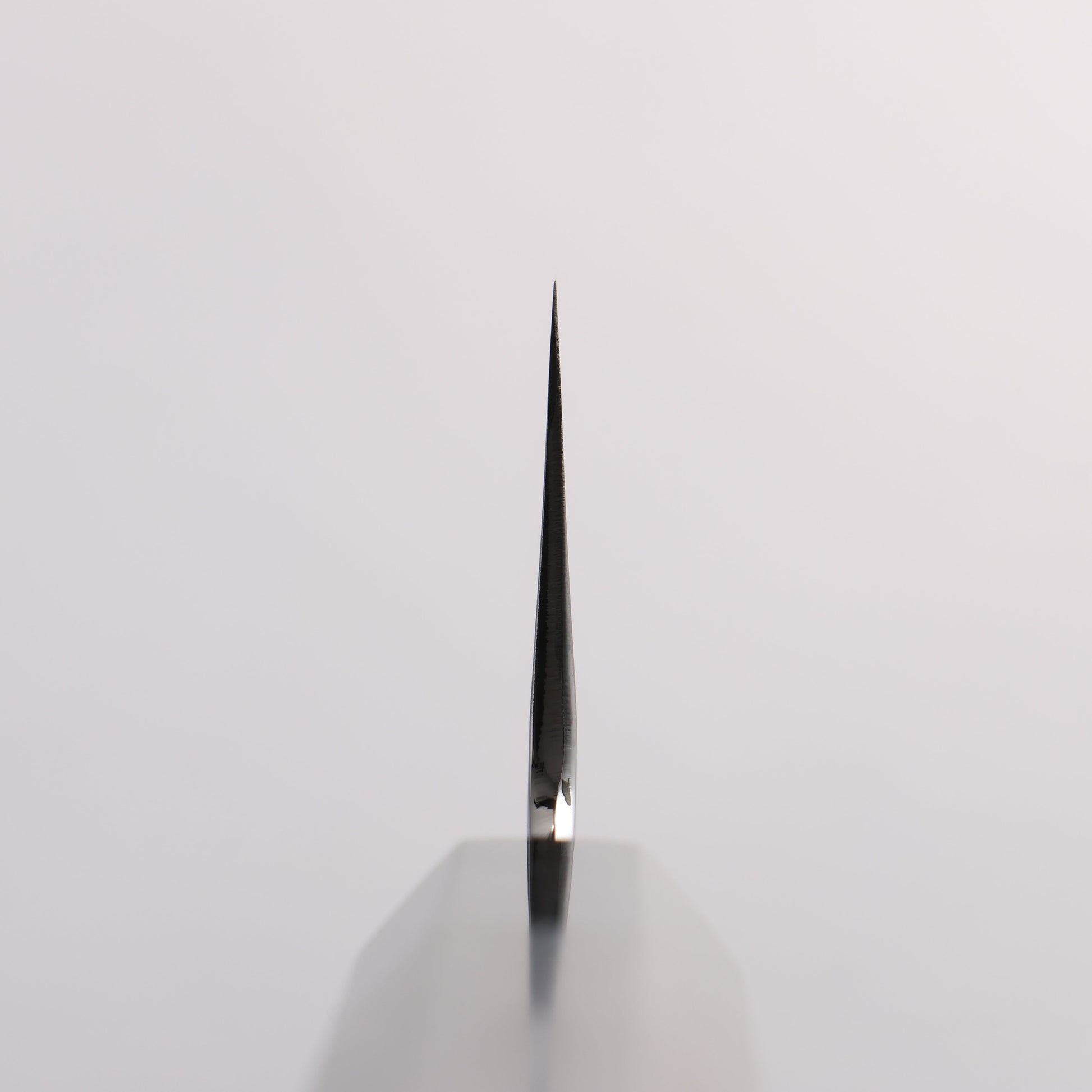 重陽 白鋼 鏡面仕上げ 切付牛刀包丁 240mm 黒檀　(口輪：黒水牛)柄