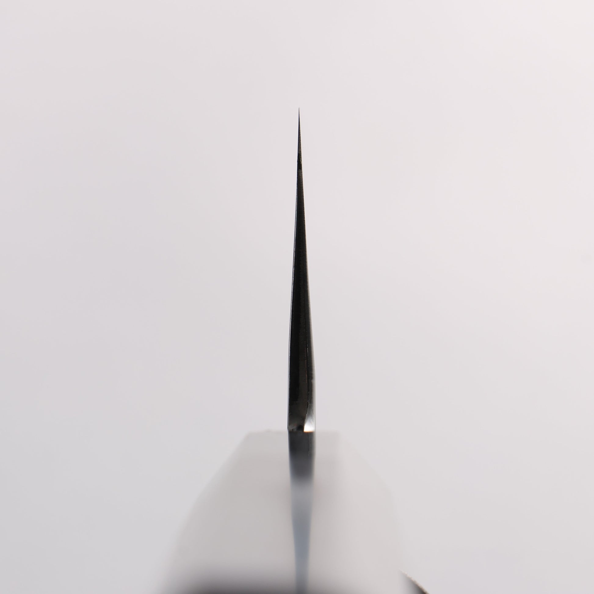 重陽 青一鋼 鏡面仕上げ 牛刀包丁 240mm 黒檀　(口輪：黒水牛)柄