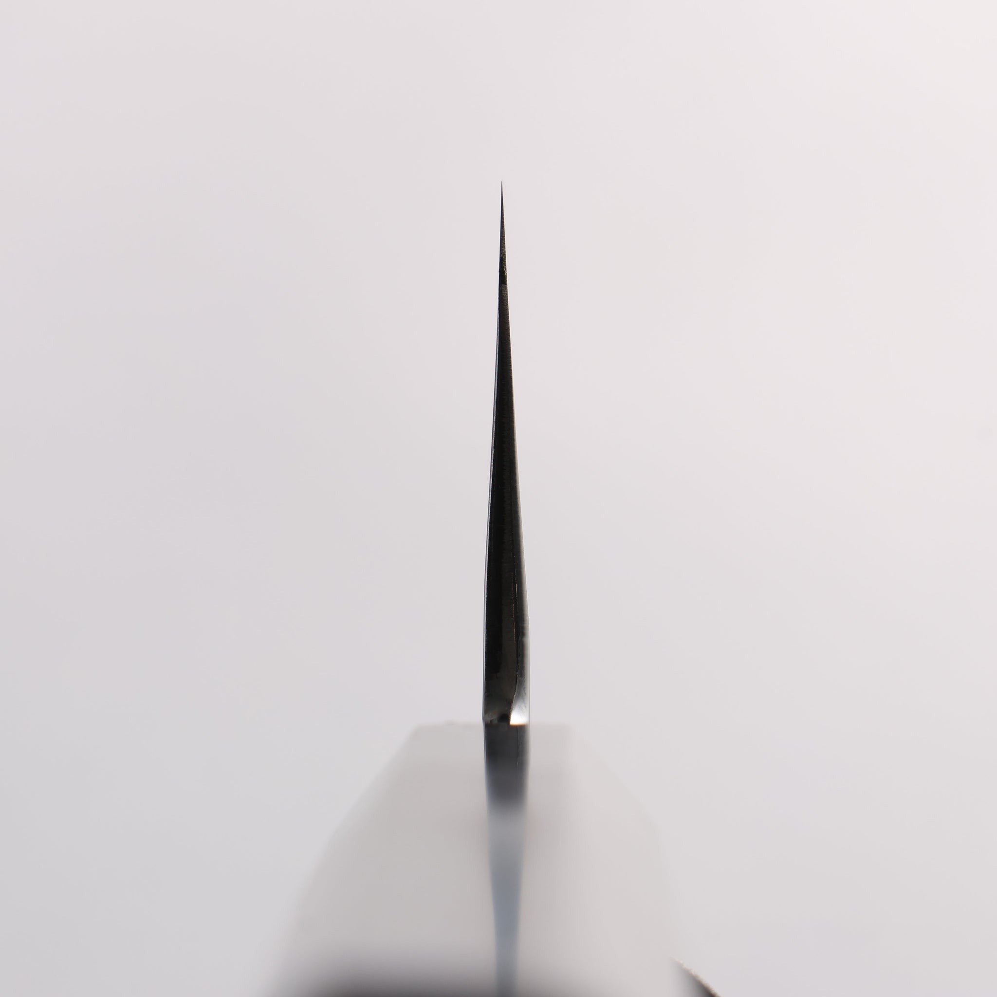 重陽 青一鋼 鏡面仕上げ 牛刀包丁 240mm 黒檀 (口輪：黒水牛)柄 - 清助刃物