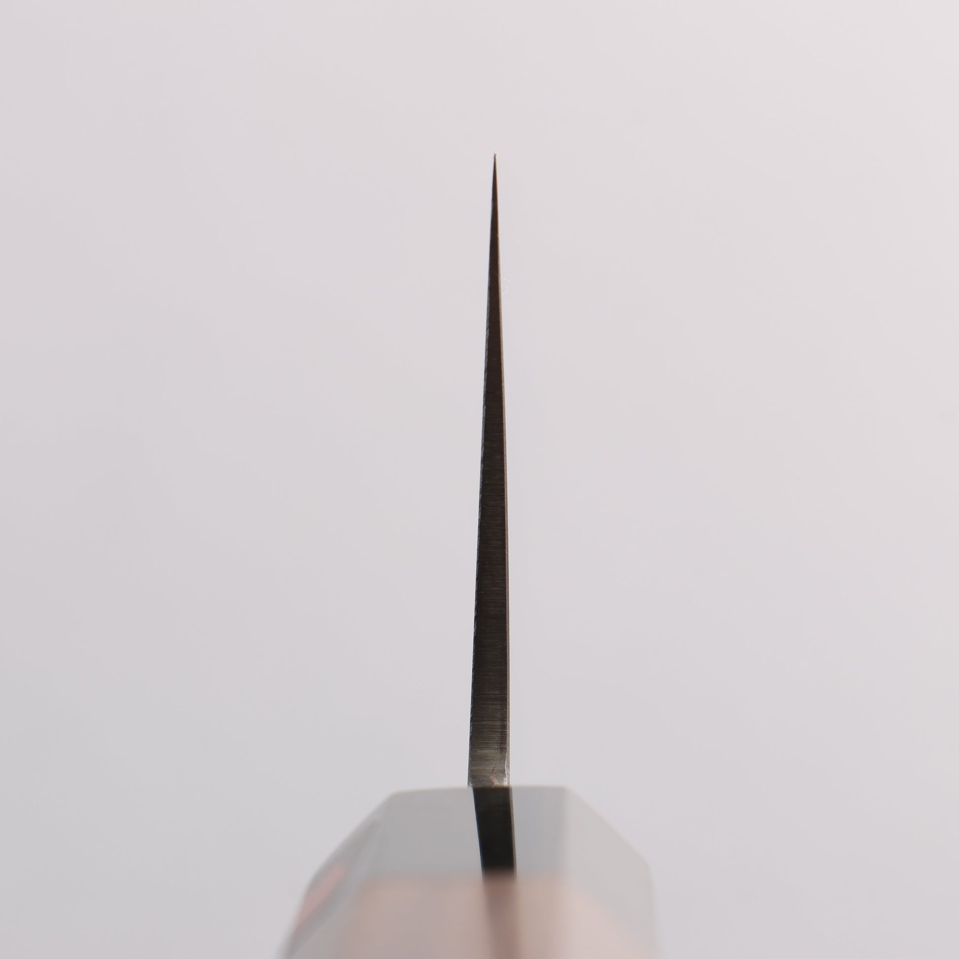 田中 誠貴 V金10号 ダマスカス 牛刀包丁 210mm ウォルナット柄