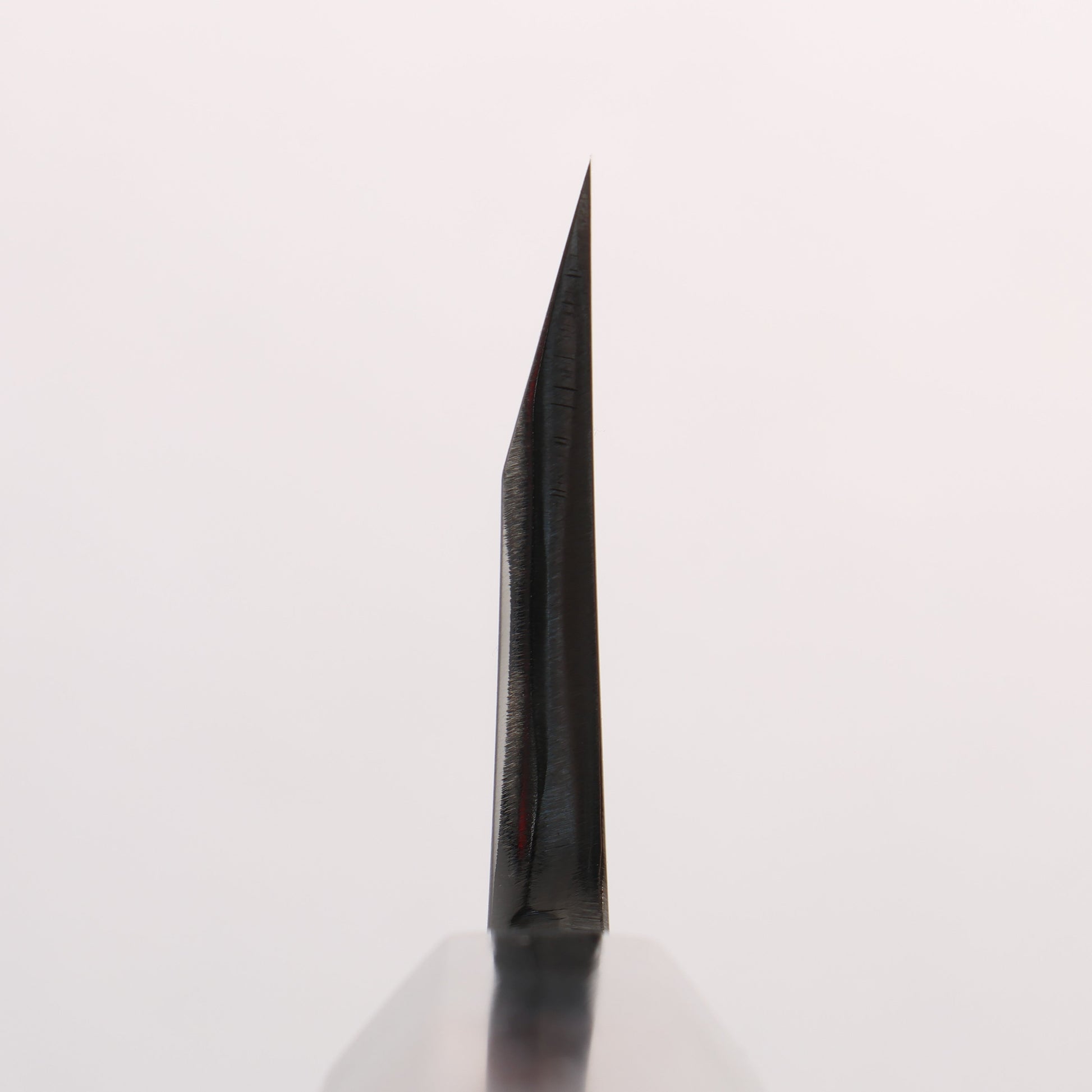 源 昭忠 白ニ鋼 相出刃 180mm 黒檀　(口輪：黒水牛)柄