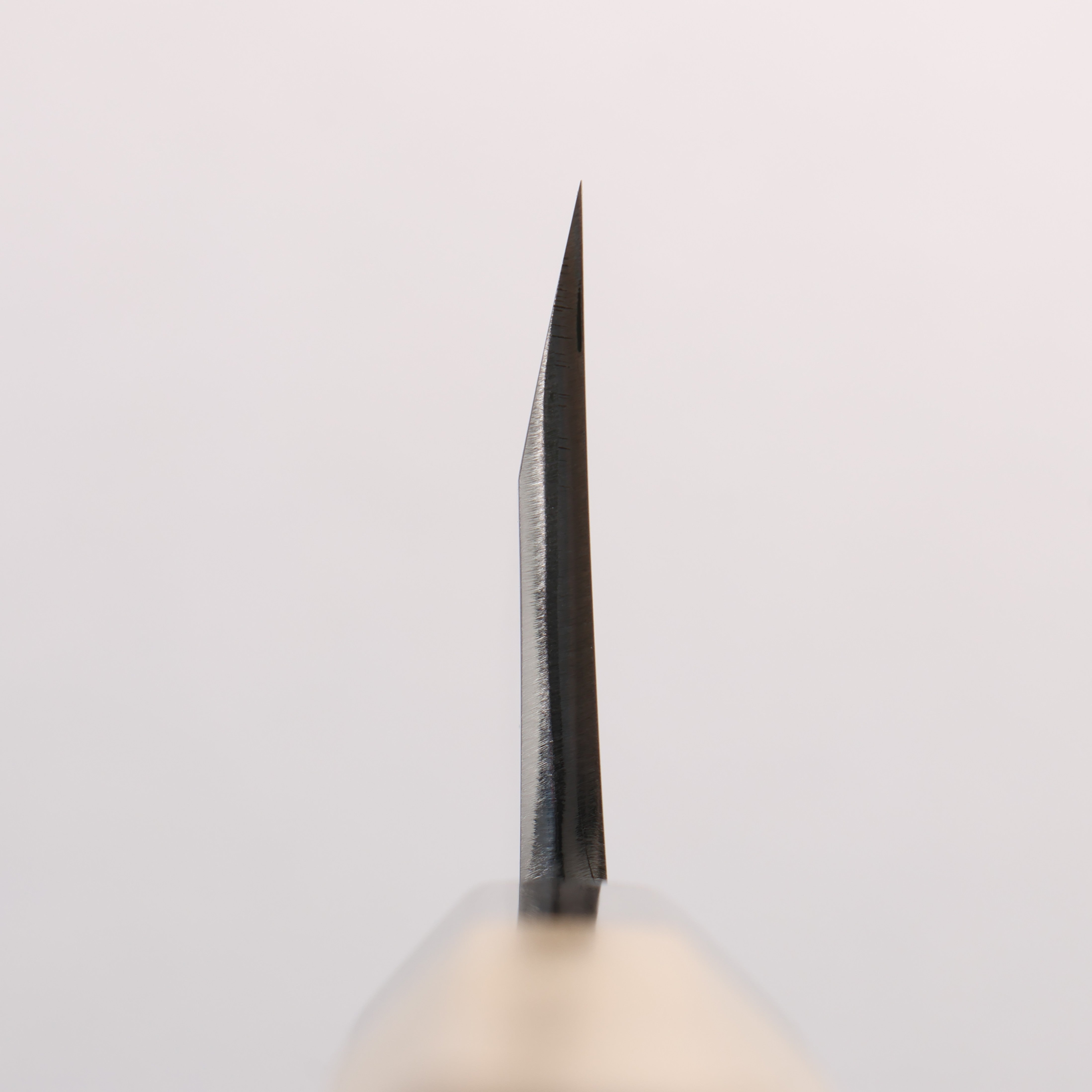源 昭忠 白ニ鋼 相出刃 180mm 朴 (口輪：水牛)柄 - 清助刃物