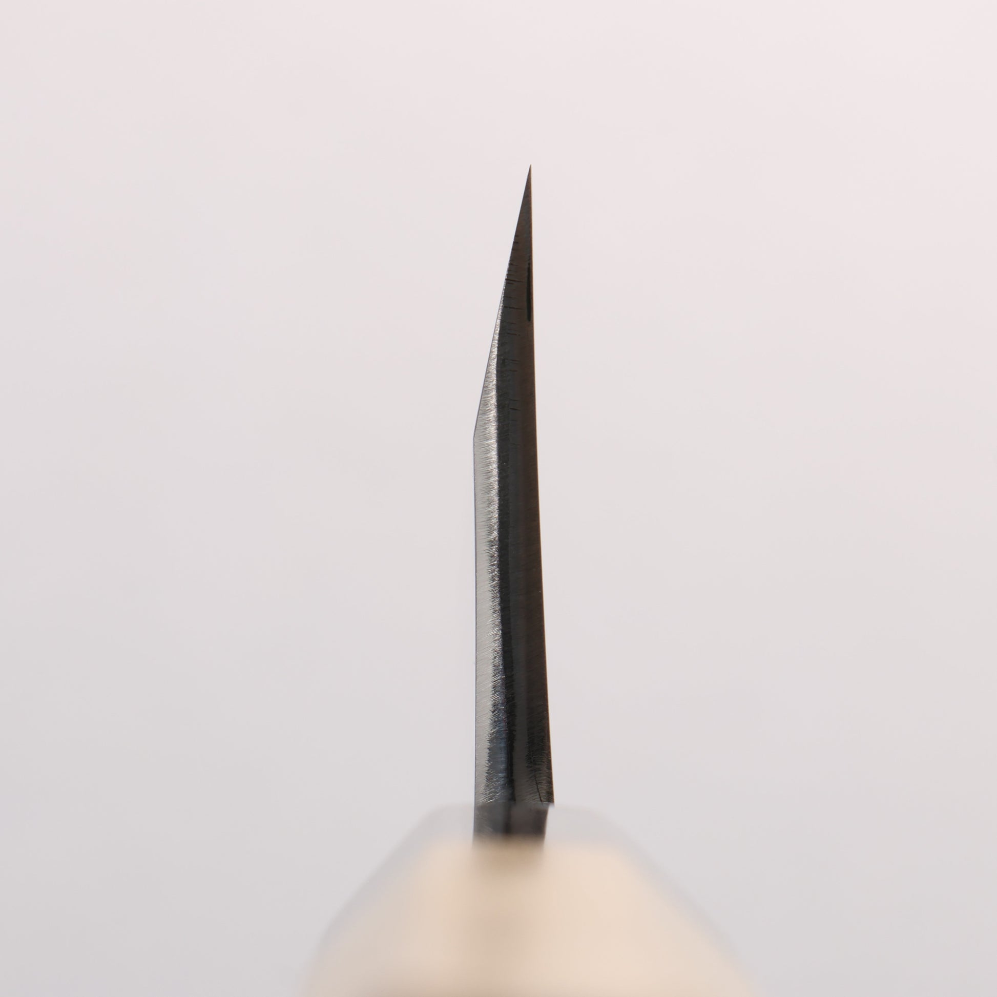 源 昭忠 白ニ鋼 相出刃 180mm 朴 (口輪：水牛)柄
