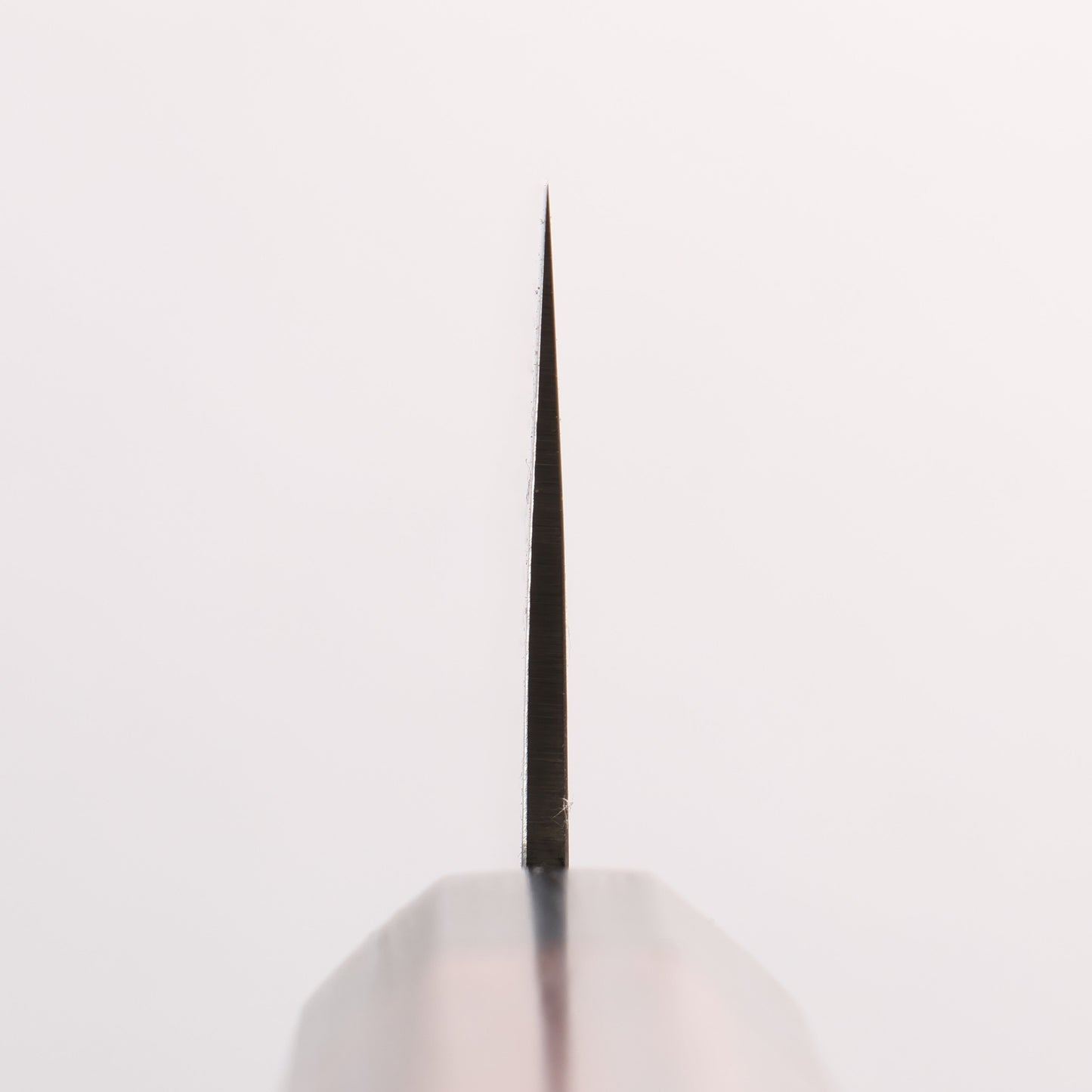 清助 ZDP189 ダマスカス 切付牛刀包丁 210mm 紫檀 (口輪：黒合板)柄