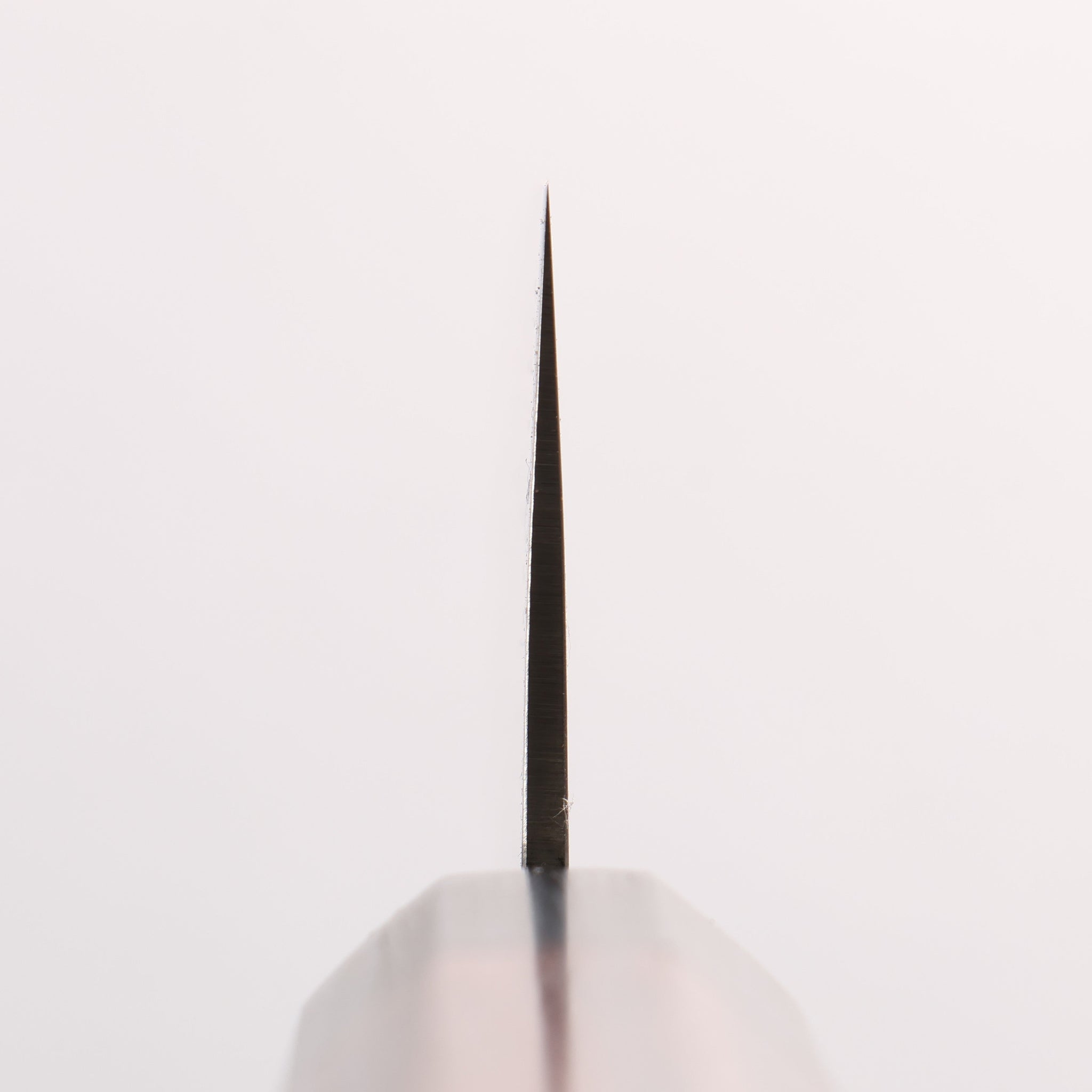 清助 ZDP189 ダマスカス 切付牛刀包丁 210mm 紫檀 (口輪：黒合板)柄 - 清助刃物