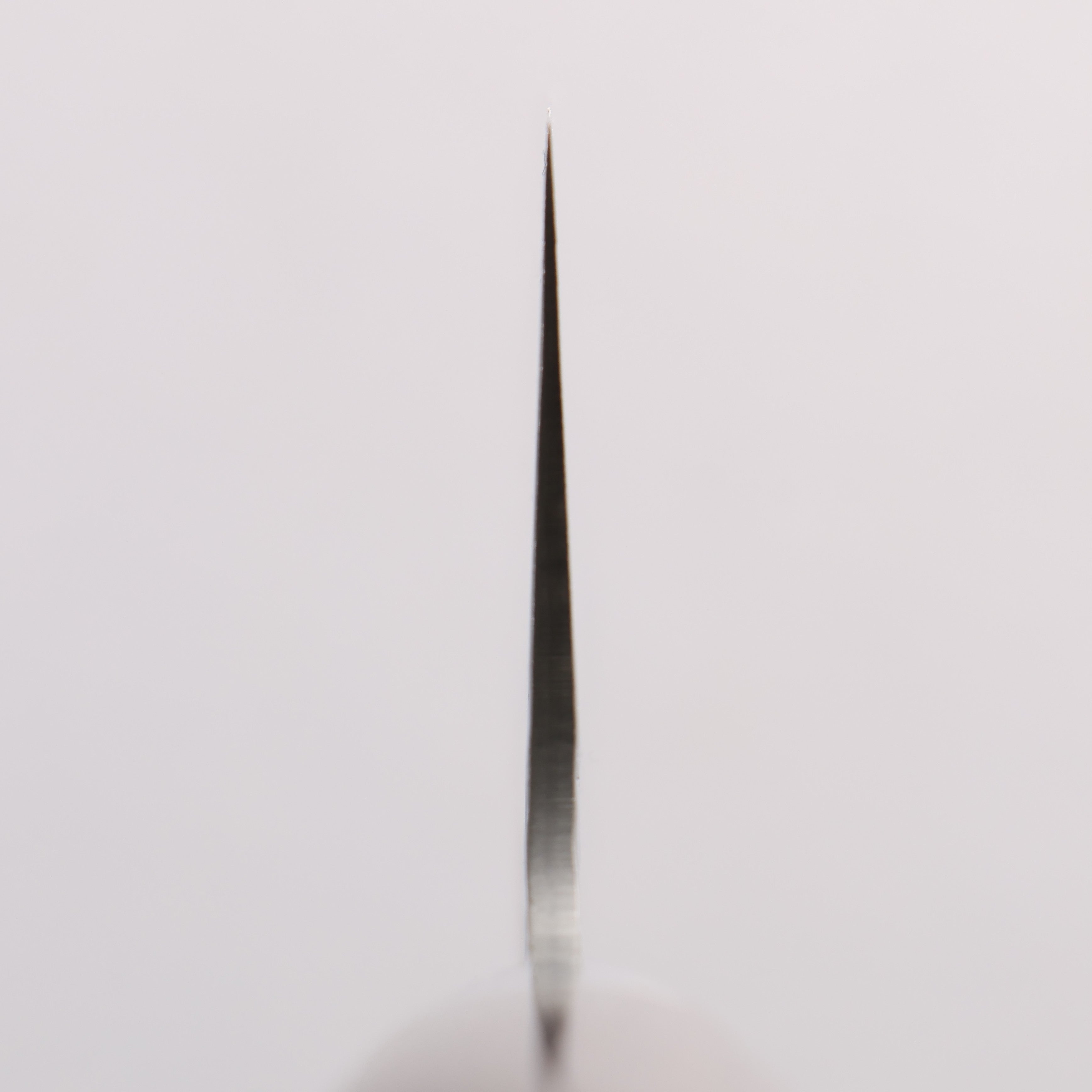堺 孝行 SG2 鎚目 ダマスカス 磨き仕上げ 牛刀包丁 210mm 紫檀柄 - 清助刃物