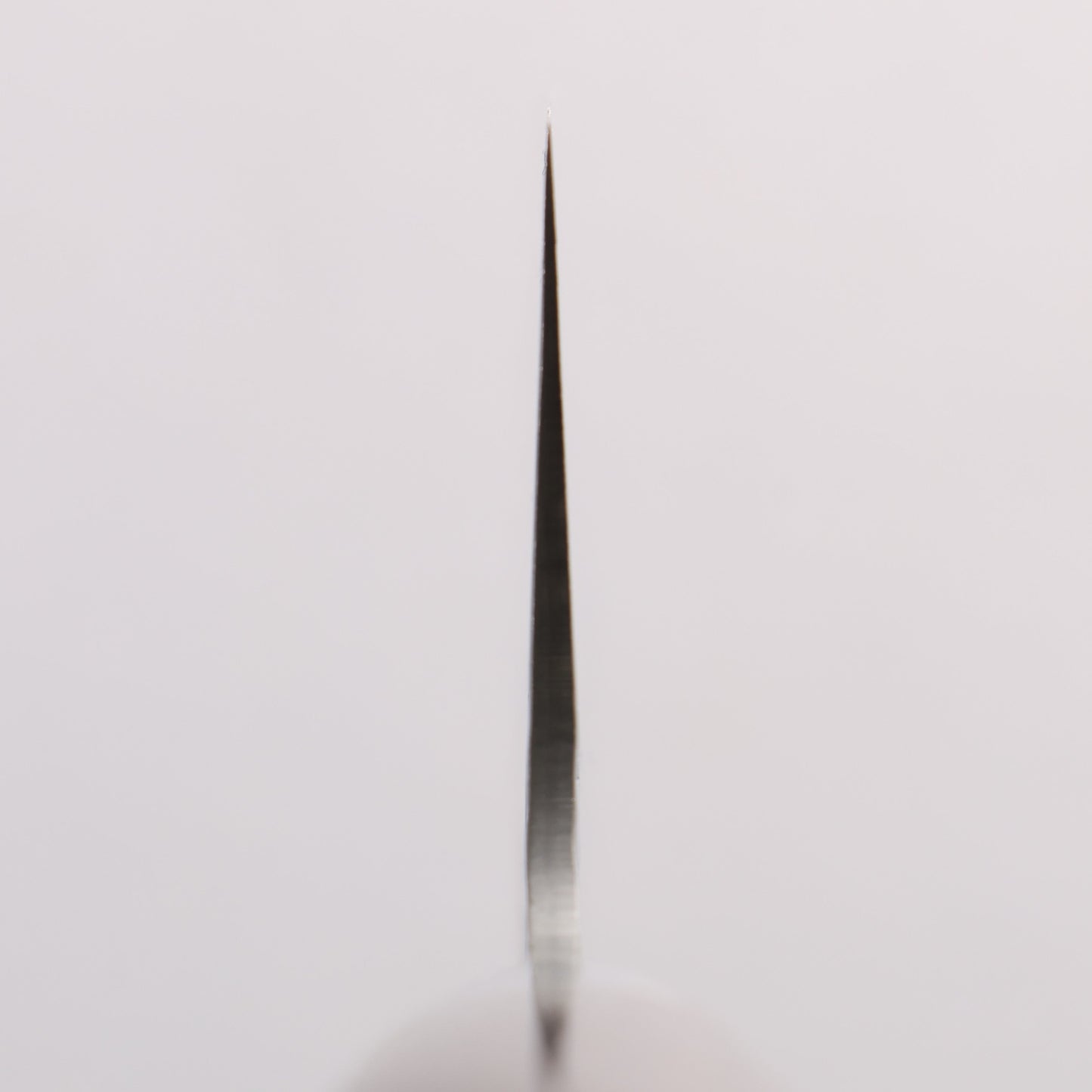 堺 孝行 SG2 鎚目 ダマスカス 磨き仕上げ 牛刀包丁 210mm 紫檀柄