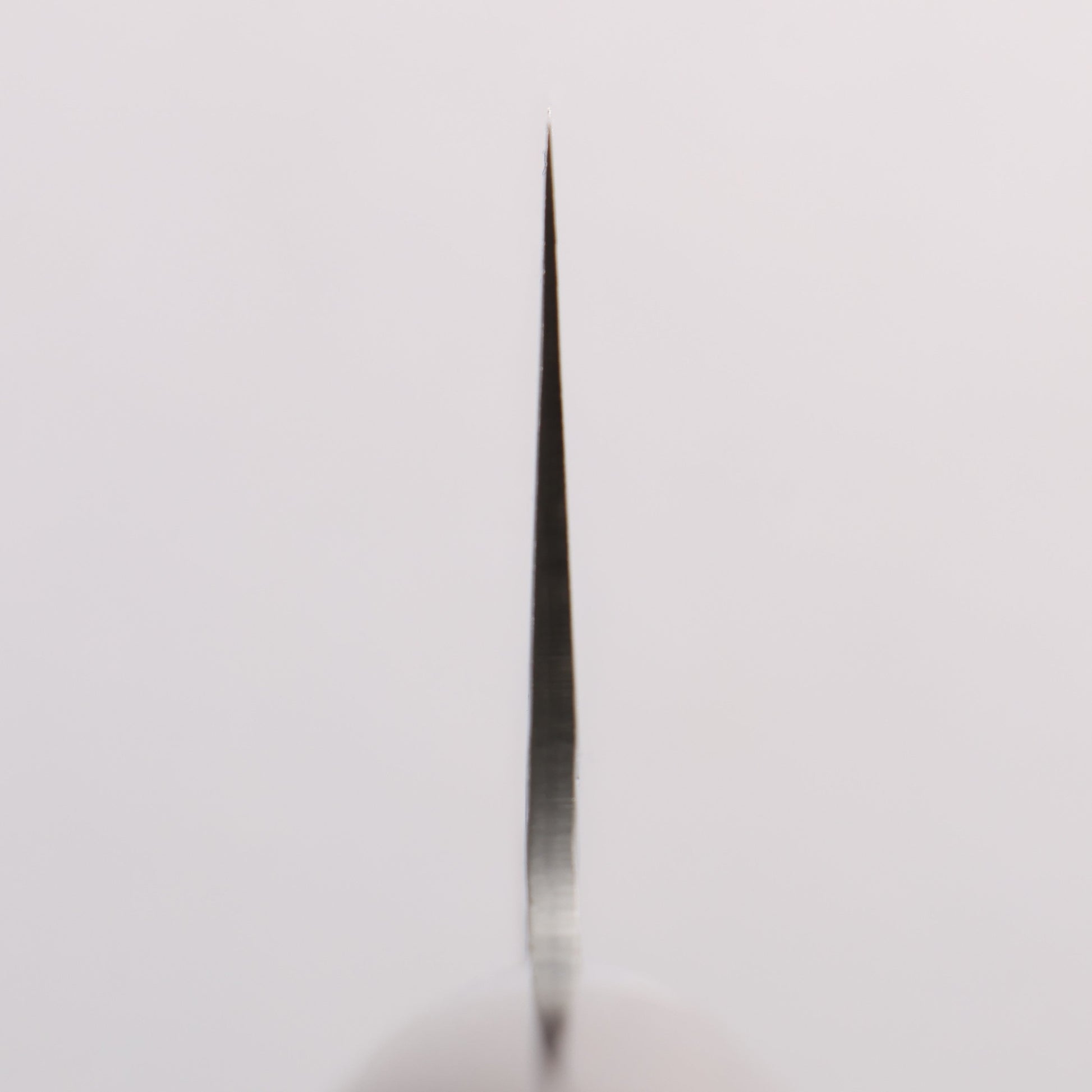 堺 孝行 SG2 鎚目 ダマスカス 磨き仕上げ 牛刀包丁 210mm 紫檀柄