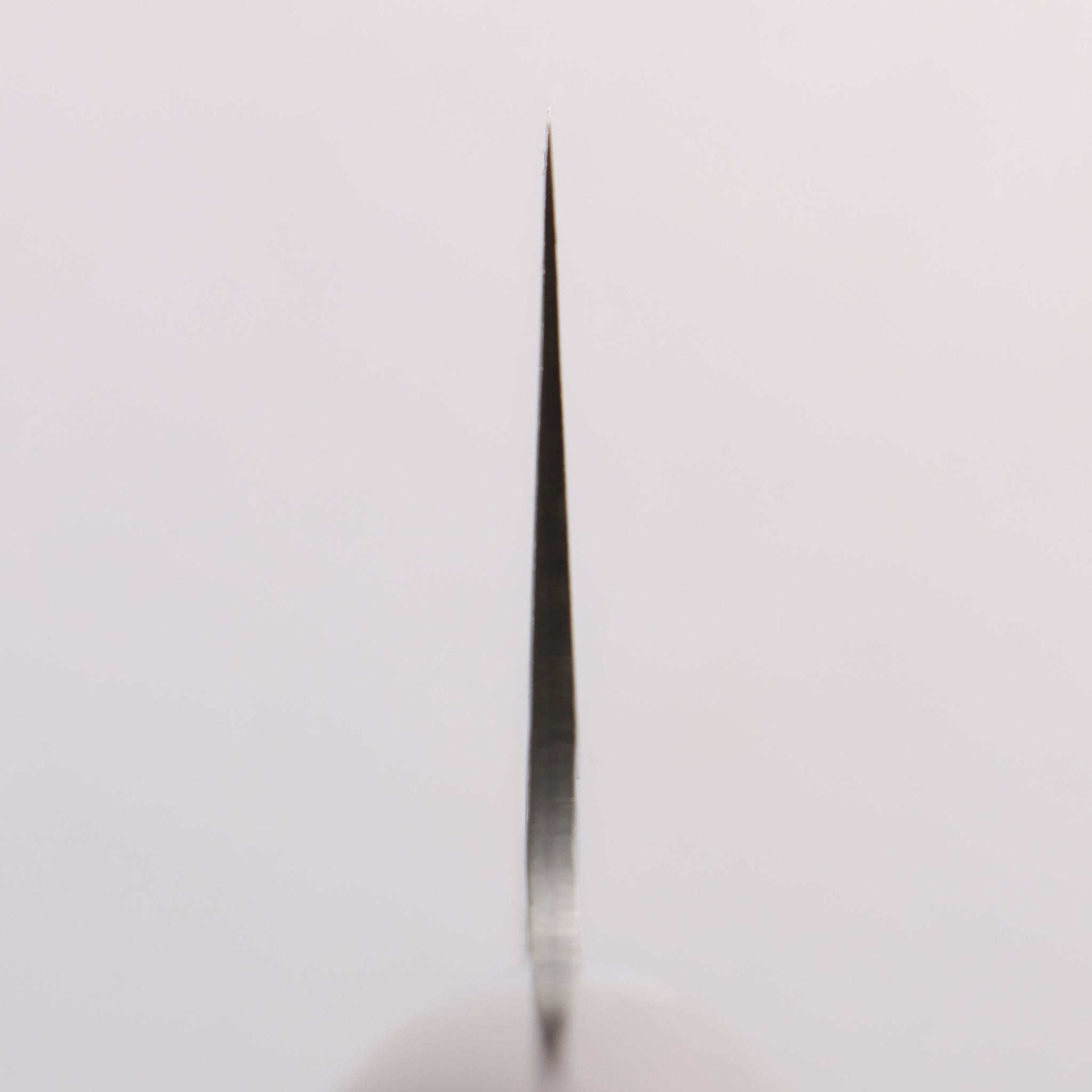 堺 孝行 SG2 鎚目 ダマスカス 磨き仕上げ 牛刀包丁 210mm 紫檀柄 - 清助刃物
