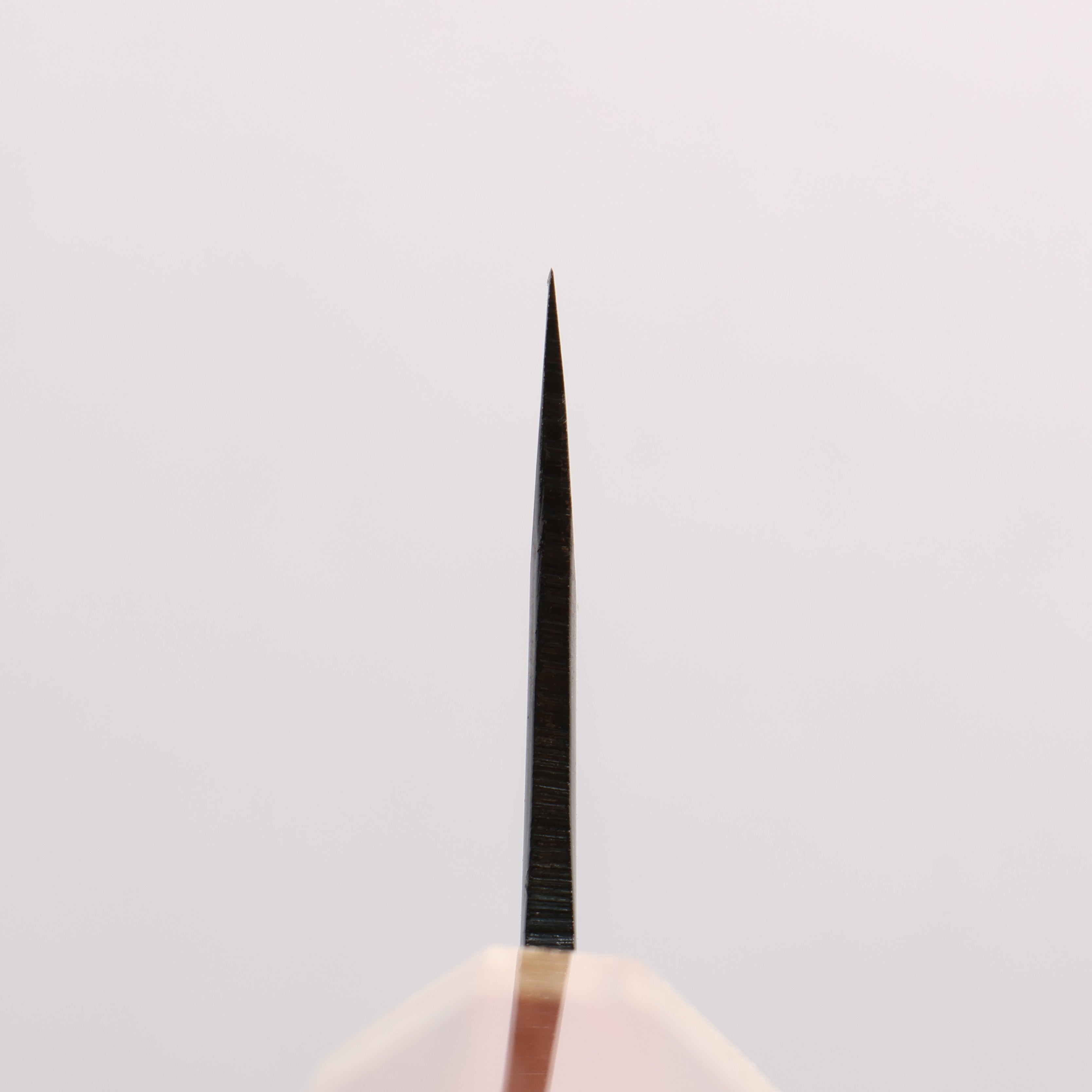 清助 青スーパー鋼 黒仕上げ 切付牛刀包丁 210mm 紫檀 (口輪：樫)柄 - 清助刃物
