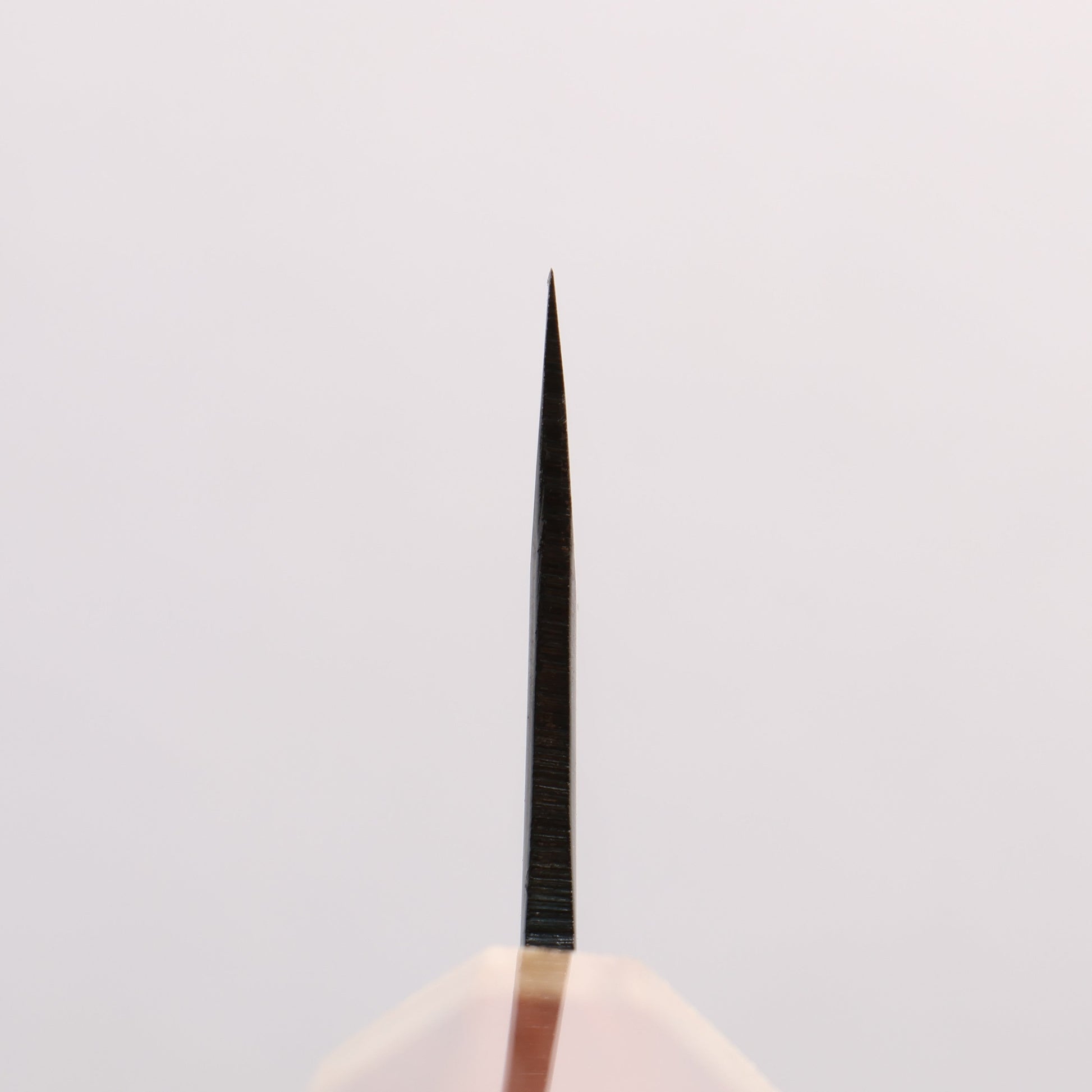 清助 青スーパー鋼 黒仕上げ 切付牛刀包丁 210mm 紫檀　(口輪：樫)柄