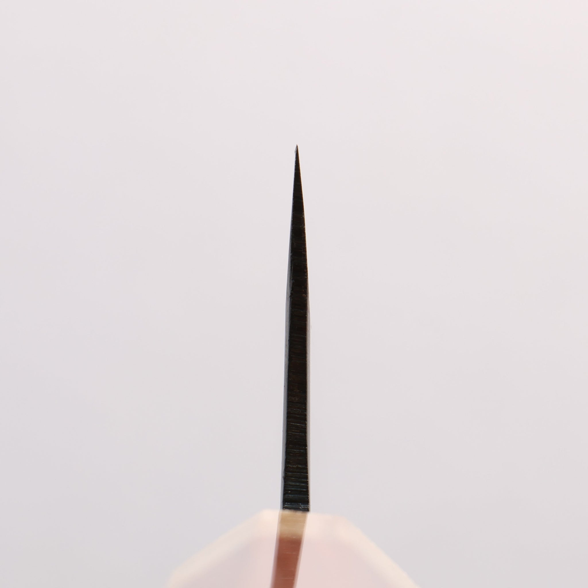 清助 青スーパー鋼 黒仕上げ 切付牛刀包丁 210mm 紫檀 (口輪：樫)柄 - 清助刃物