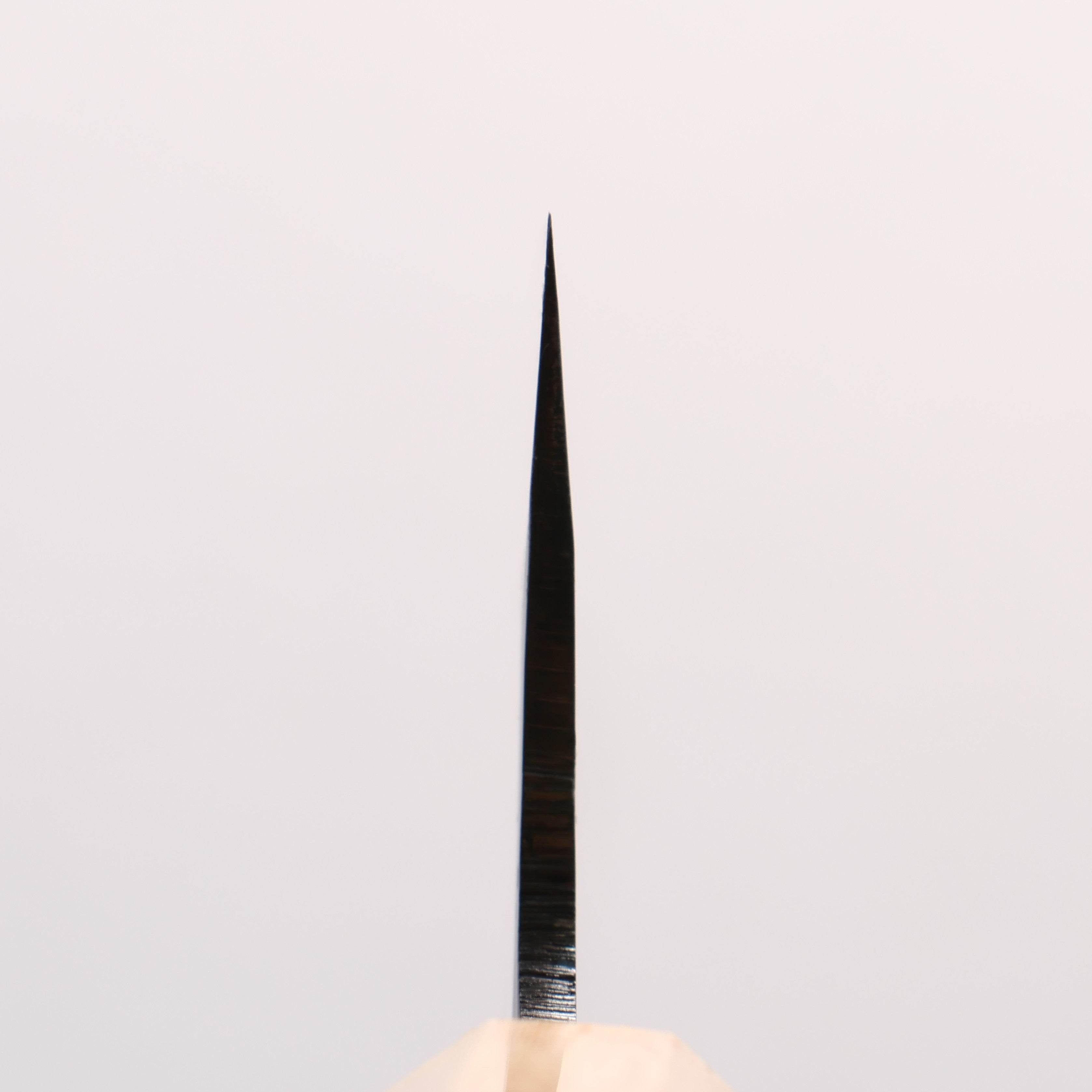 清助 青一鋼 黒仕上げ 牛刀包丁 210mm 紫檀 (口輪：樫)柄 - 清助刃物