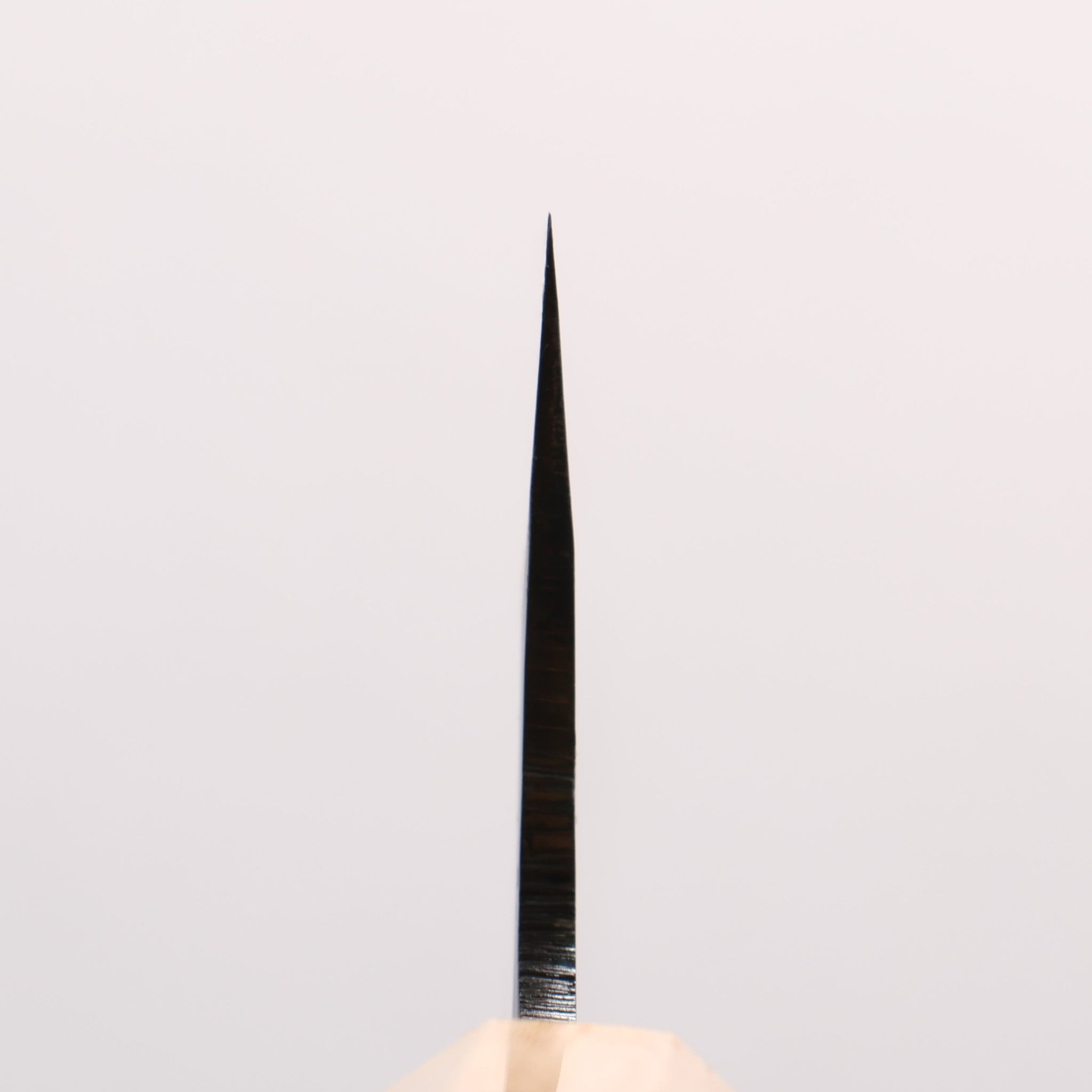 清助 青一鋼 黒仕上げ 牛刀包丁 210mm 紫檀 (口輪：樫)柄 - 清助刃物