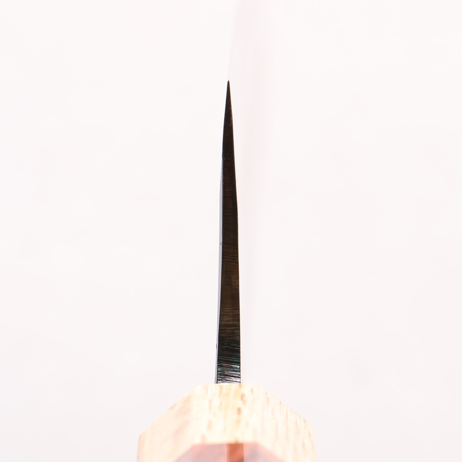 清助 青一鋼 黒仕上げ 切付牛刀包丁 240mm 紫檀　(口輪：樫)柄