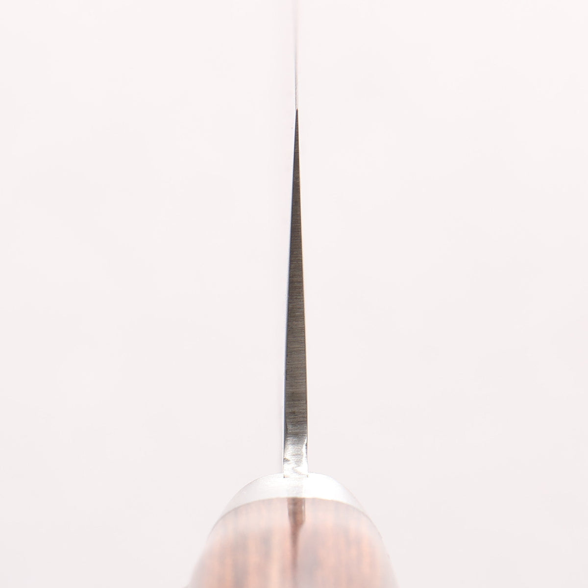 清助 V金10号 鎚目 牛刀包丁 210mm ゼブラウッド柄