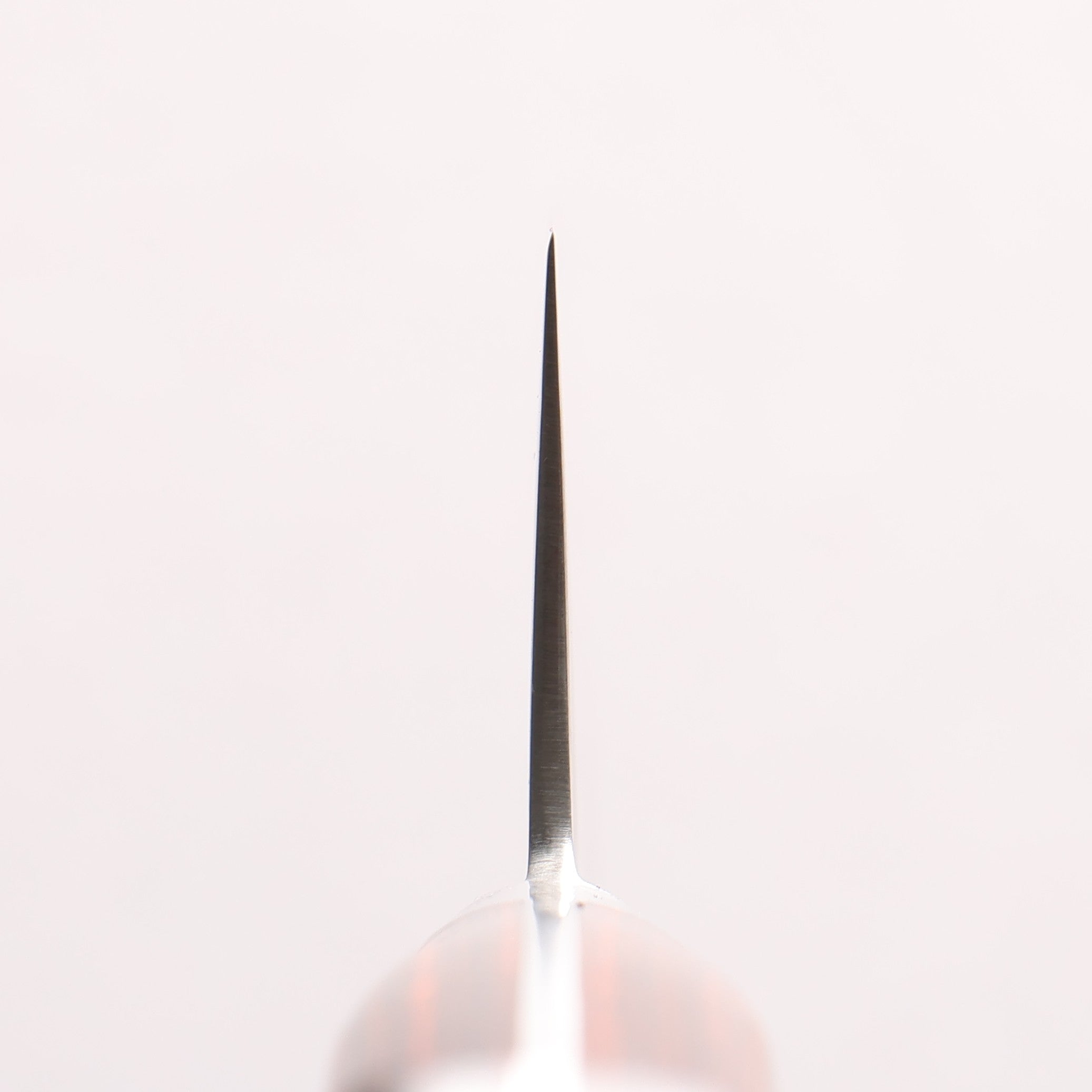 寛丈 SG2 鎚目 牛刀包丁 180mm マホガニー柄 - 清助刃物