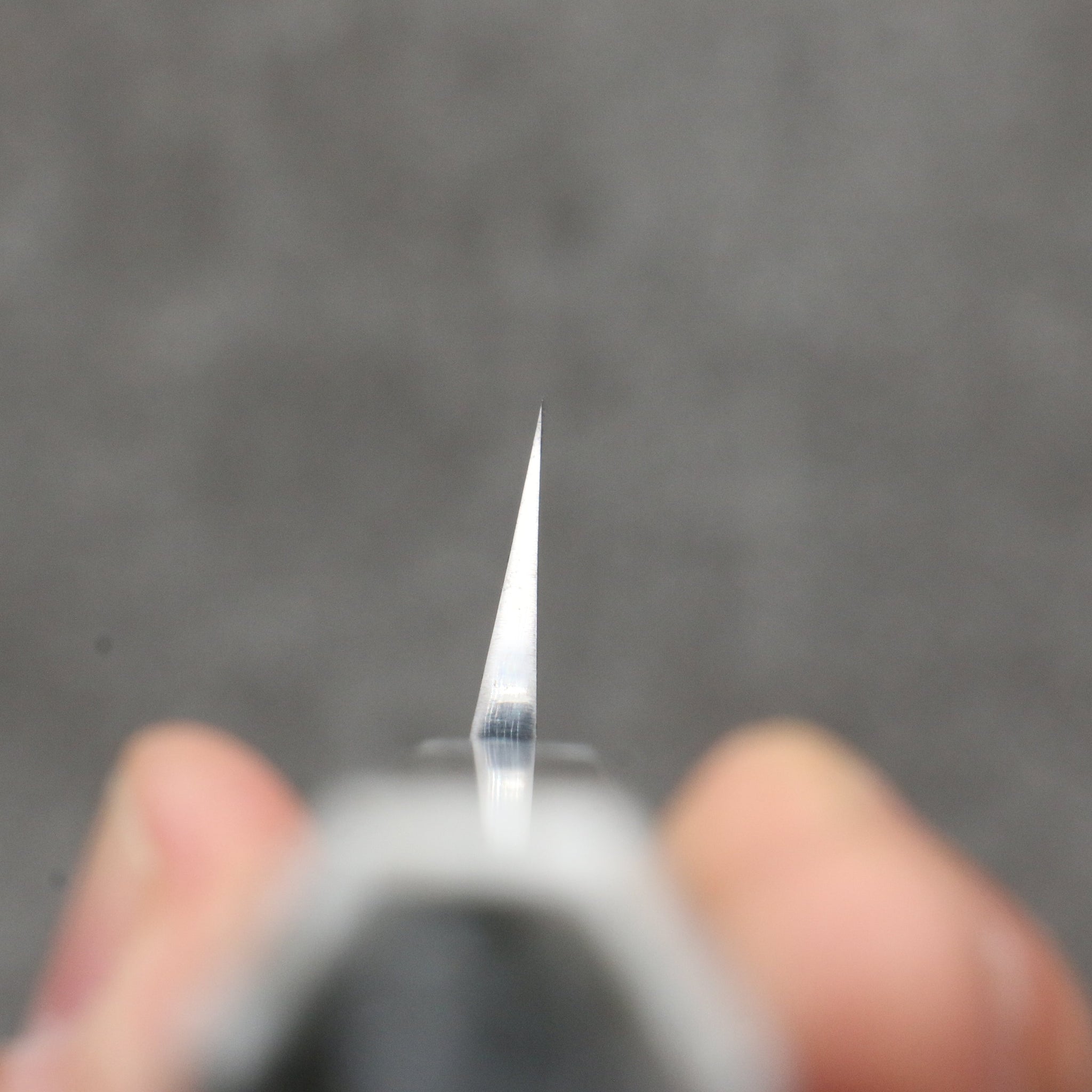 堺 孝行 銀龍 本焼 スウェーデン鋼 鏡面仕上げ 先丸柳刃包丁 300mm スタビライズドウッド柄 鞘付き - 清助刃物