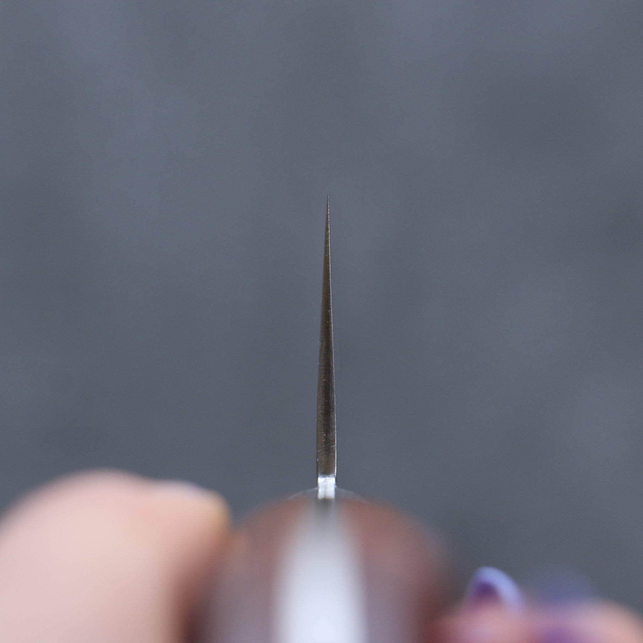 堺 孝行 V金5号 鎚目 切付牛刀包丁  190mm 茶合板柄 - 清助刃物