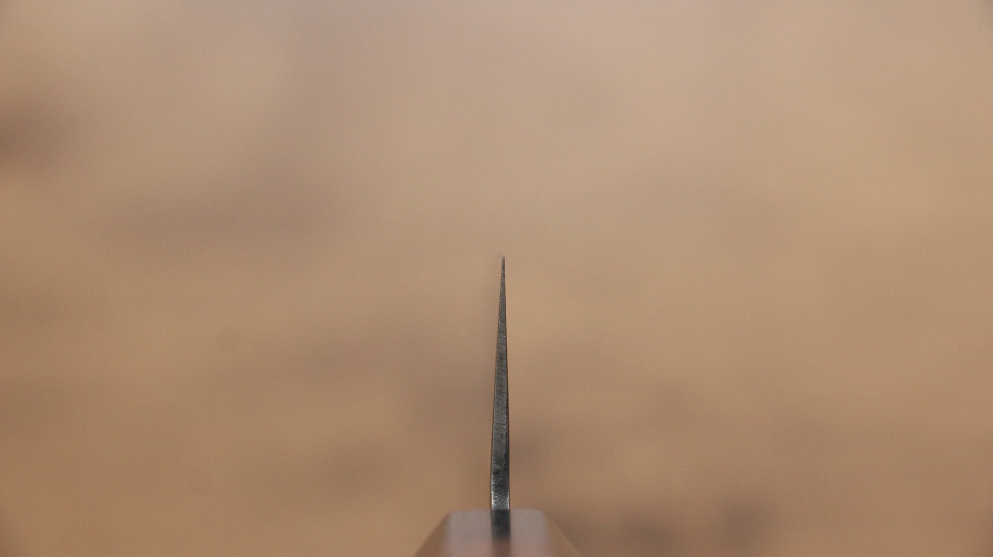 清助 AUS10 45層ダマスカス 牛刀包丁  210mm 紫檀柄 - 清助刃物