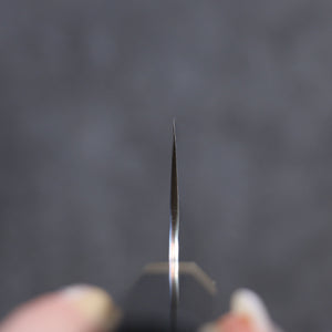 黒崎 優 閃光 R2/SG2 鎚目 牛刀包丁 和包丁 210mm 黒檀柄 - 清助刃物