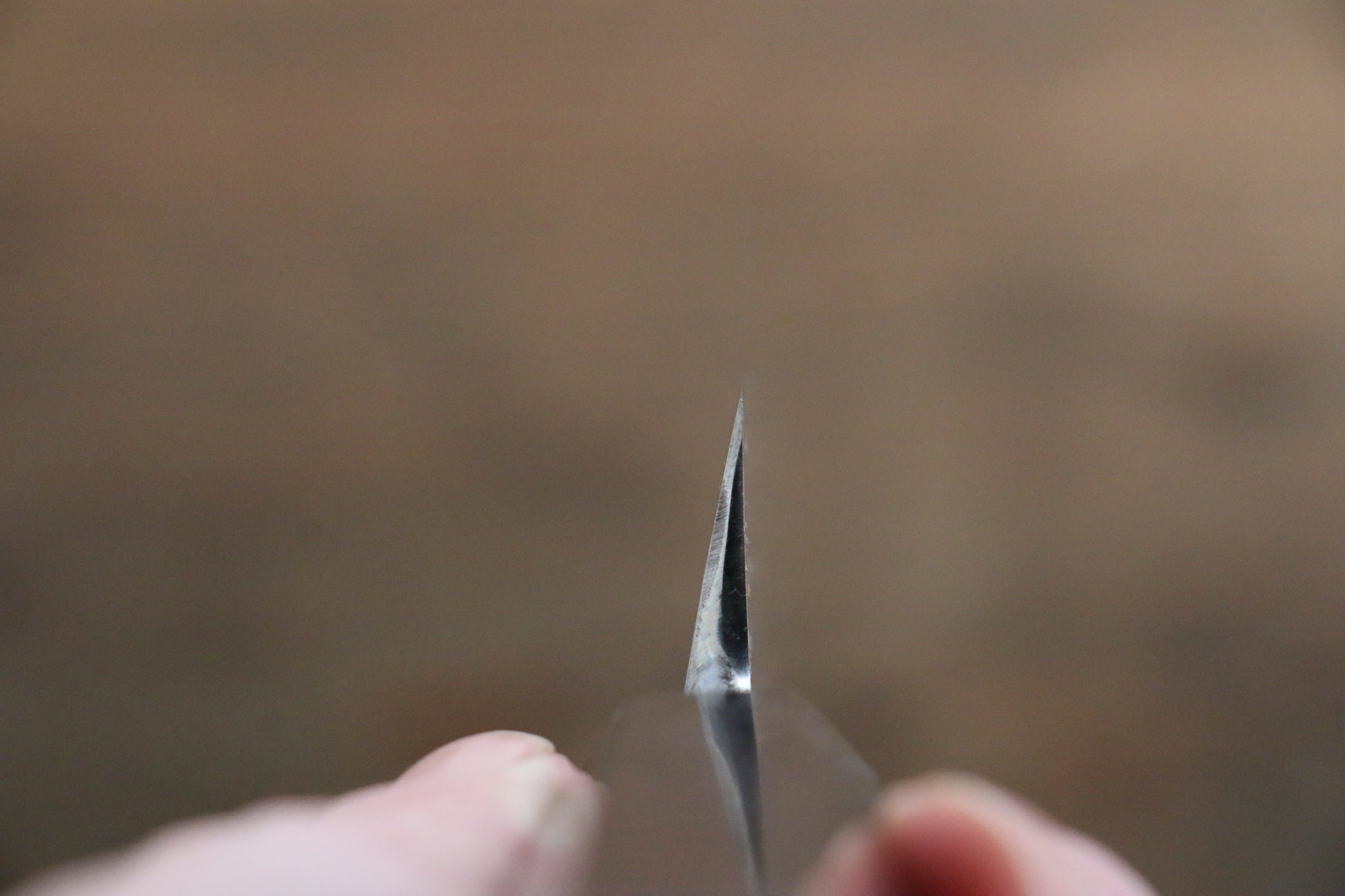 堺 孝行 青一鋼 柳刃包丁 300mm 黒檀柄 鞘付き - 清助刃物