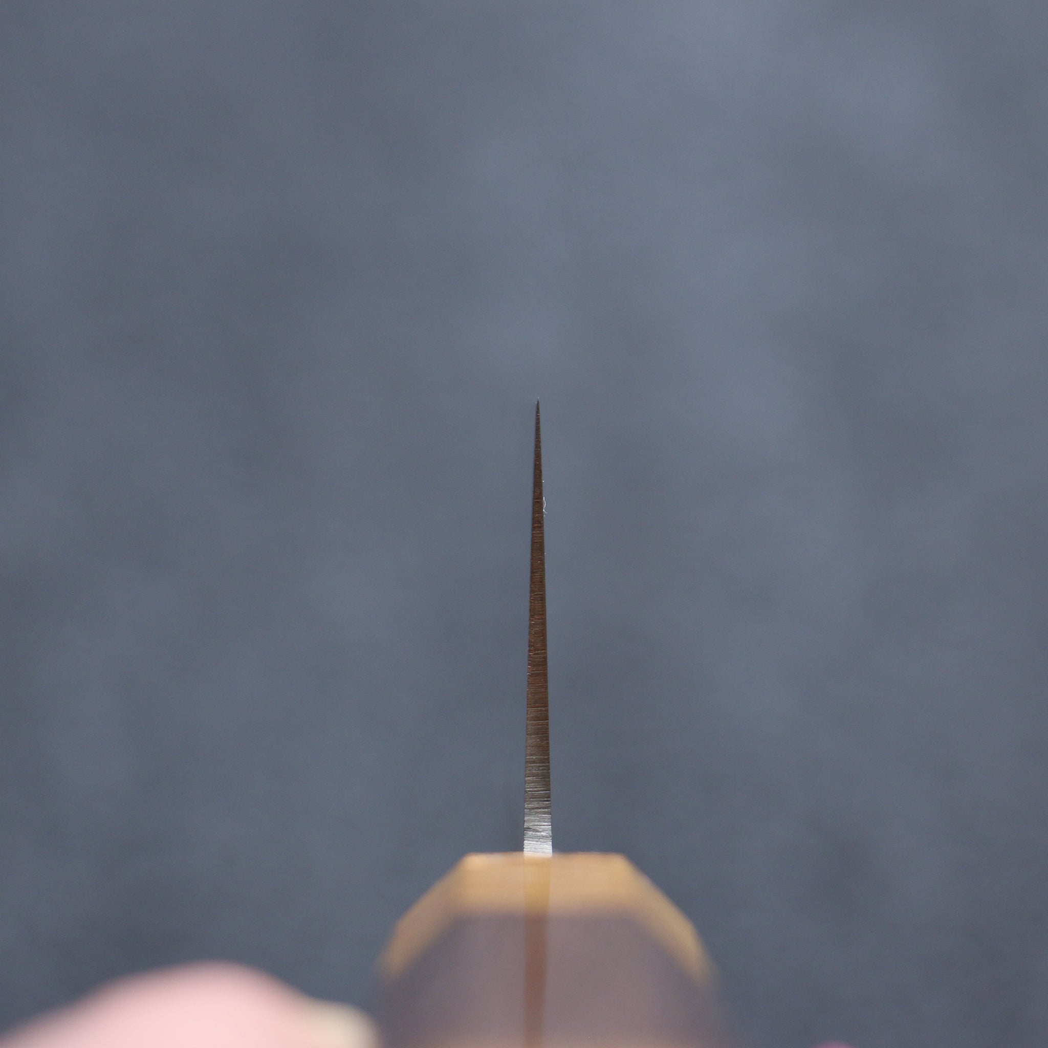 堺 孝行 JEWEL トパーズ V金1号 三徳包丁  180mm ウエンジ(両側黄口輪)柄 - 清助刃物