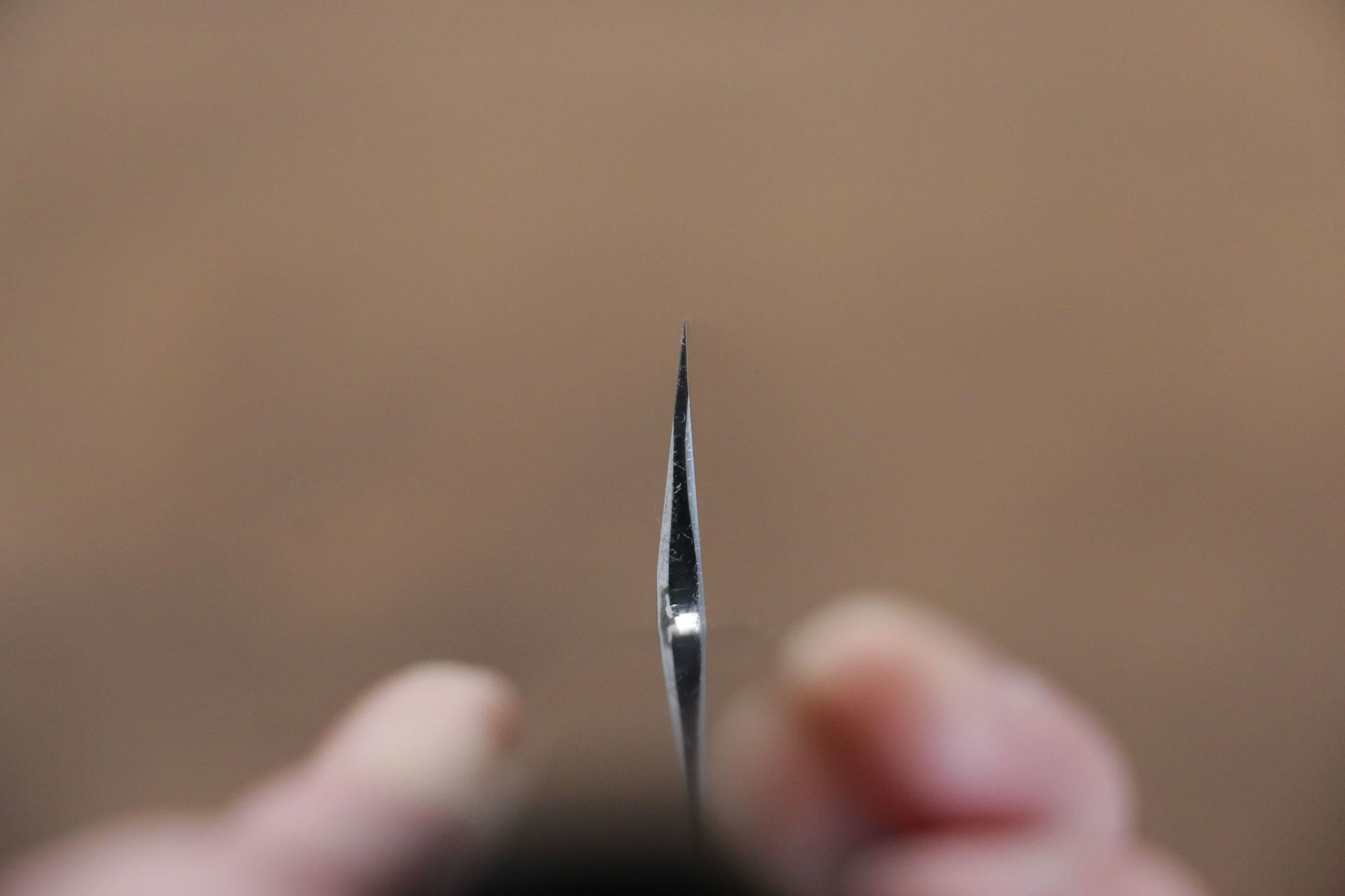 堺 孝行 富士山 本焼 白ニ鋼 鏡面仕上げ 切付柳刃包丁  300mm リング付き黒檀柄 鞘付き - 清助刃物