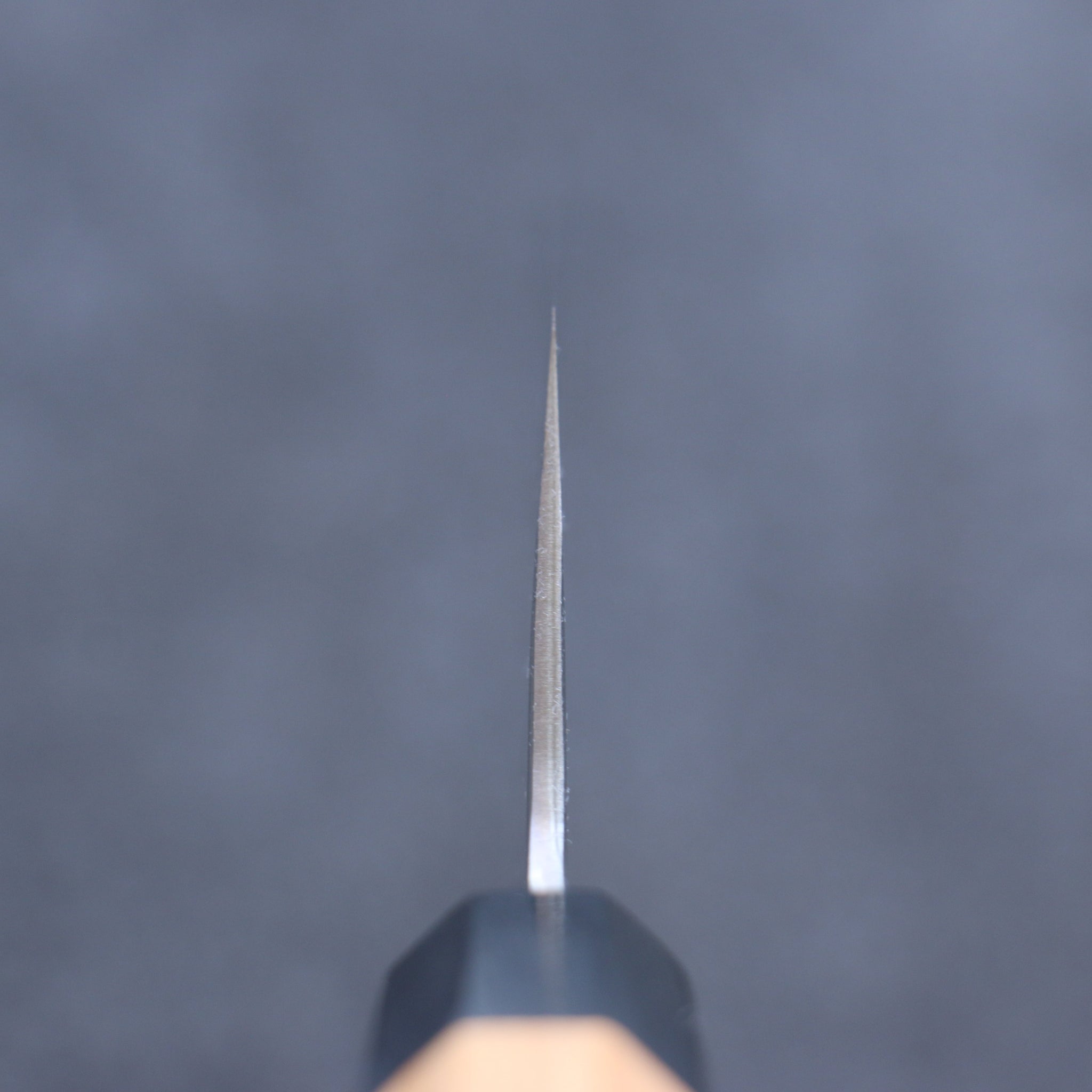 堺 孝行 焔 飛燕 青ニ鋼 牛刀包丁  210mm イチイ柄 鞘付き - 清助刃物