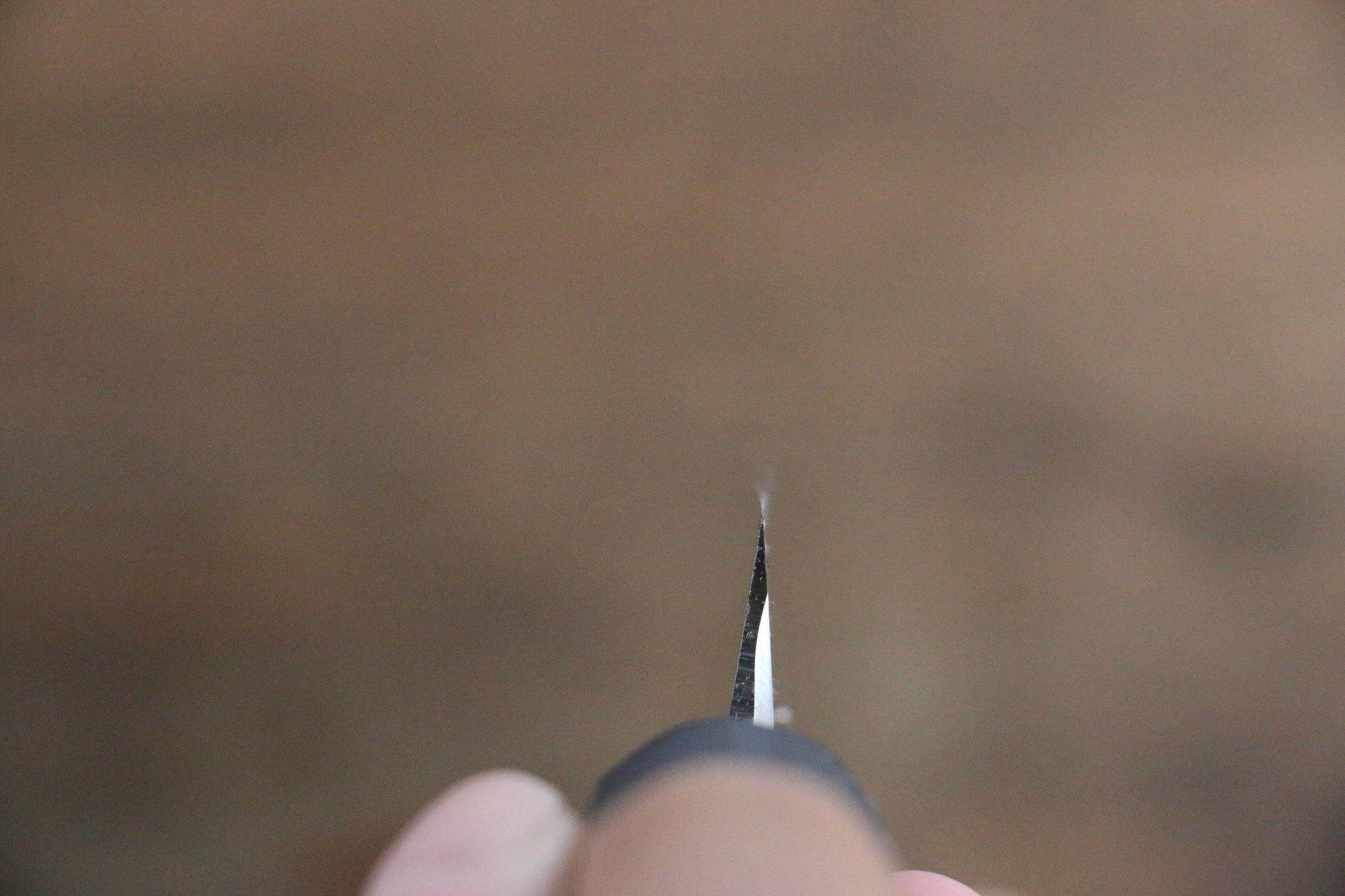 堺 孝行 【左利き用】 モリブデン鋼（MOL） 柳刃包丁  プラスチック抗菌柄 - 清助刃物