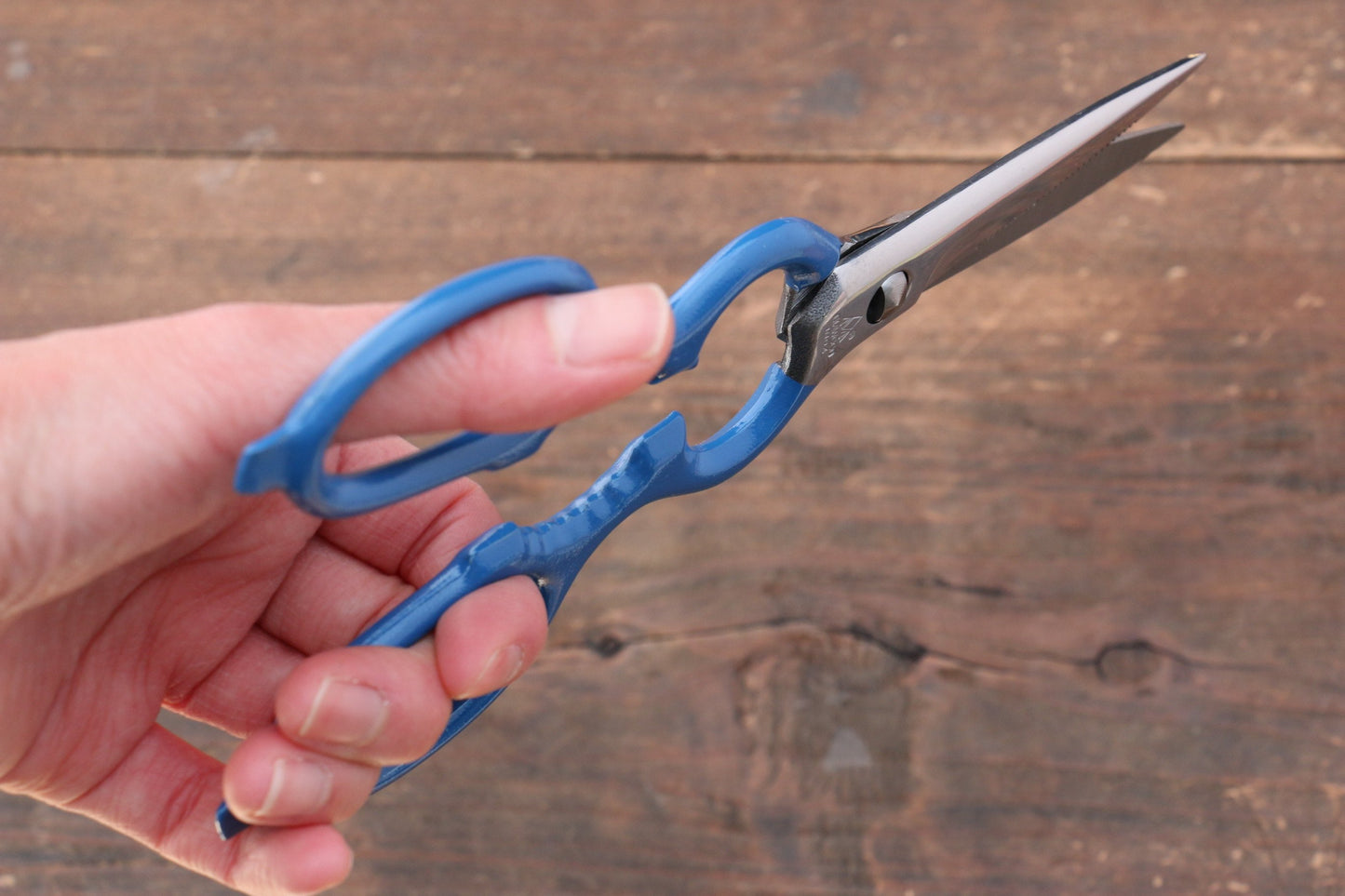 ダイヤウッドINOX クリーンキッチンハサミ(取り外し式) - 清助刃物